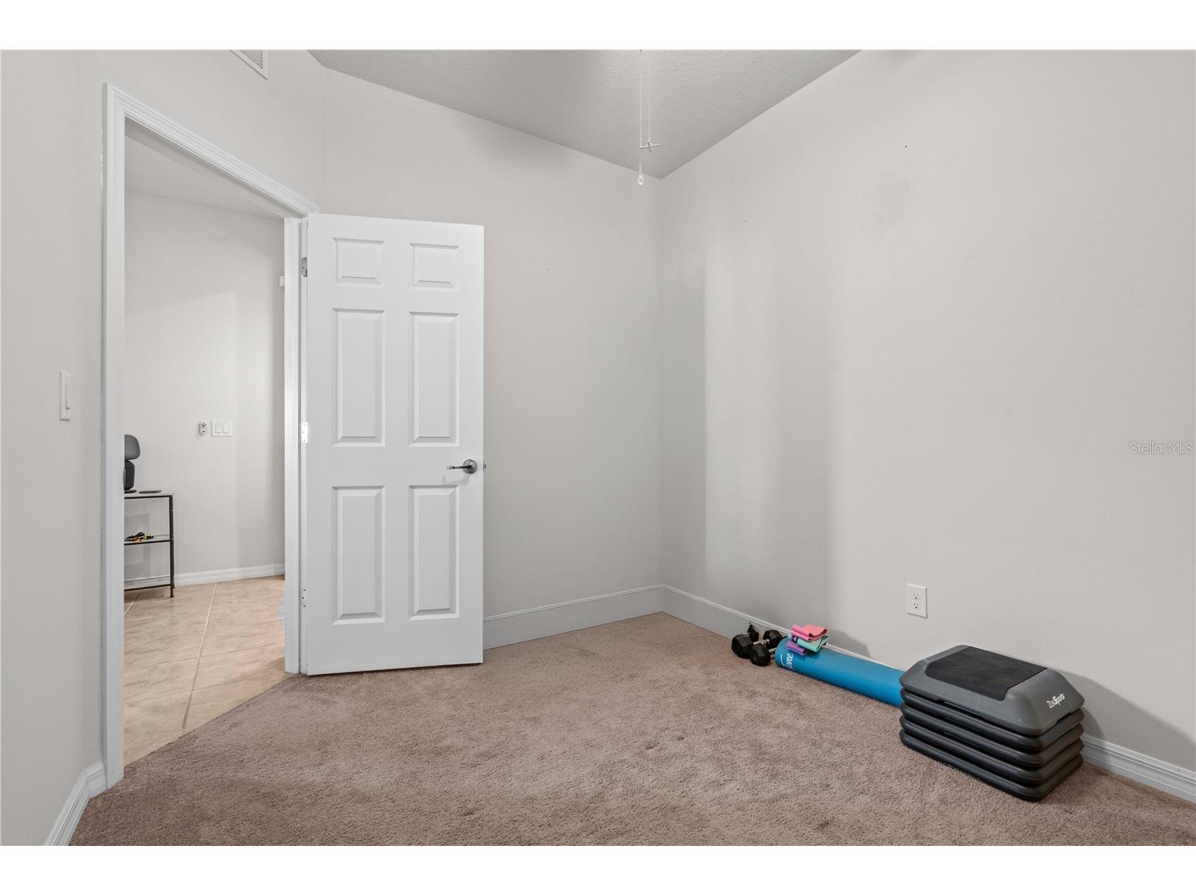 5339 Fallen Leaf Drive Riverview FL 33578 TB8410426 image27