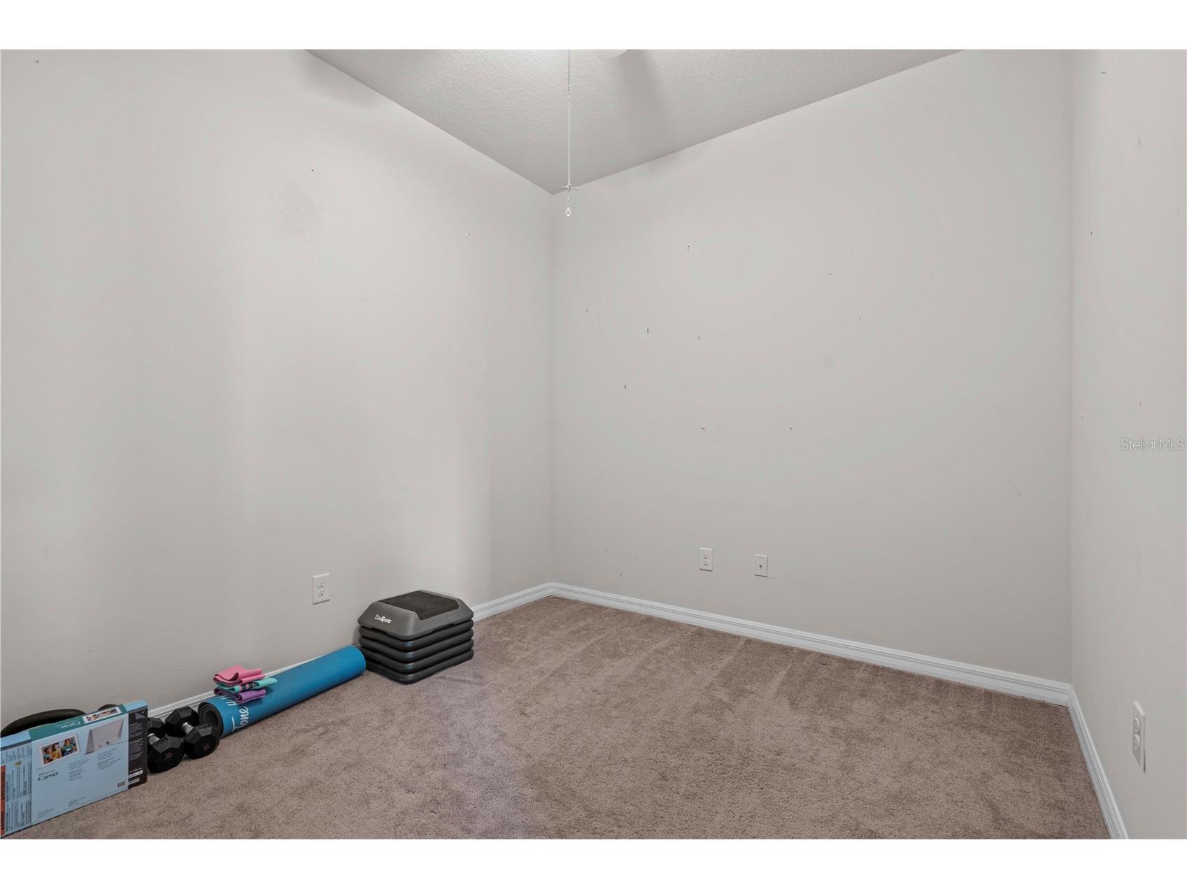 5339 Fallen Leaf Drive Riverview FL 33578 TB8410426 image28