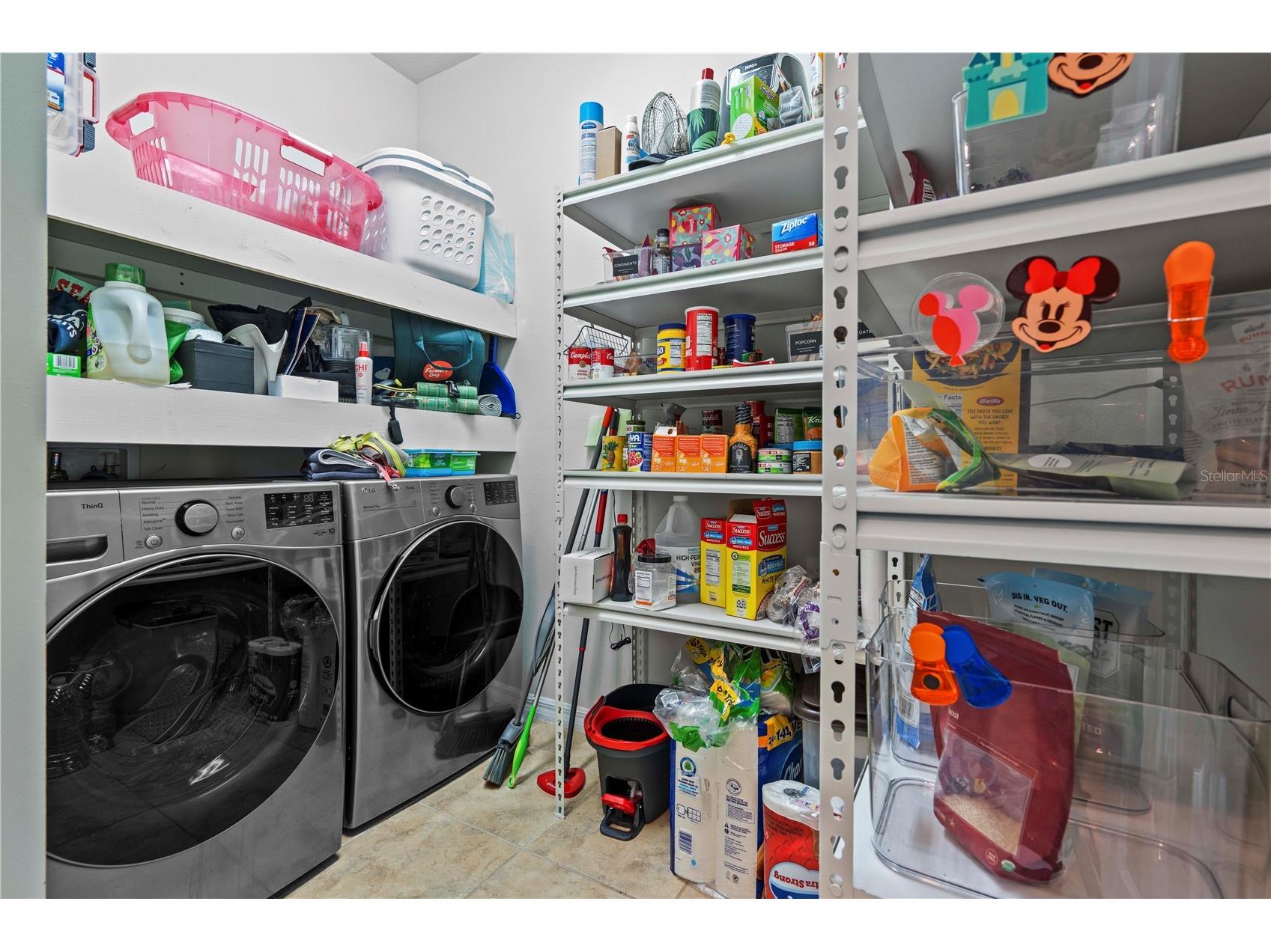 5339 Fallen Leaf Drive Riverview FL 33578 TB8410426 image35