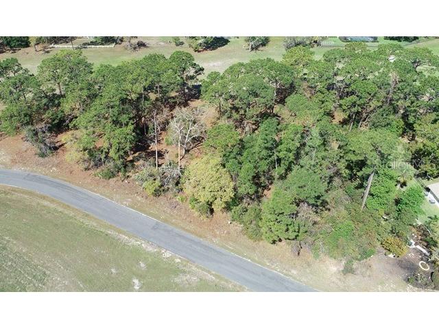 5339 Keysville Avenue Spring Hill FL 34608 W7873438 image1