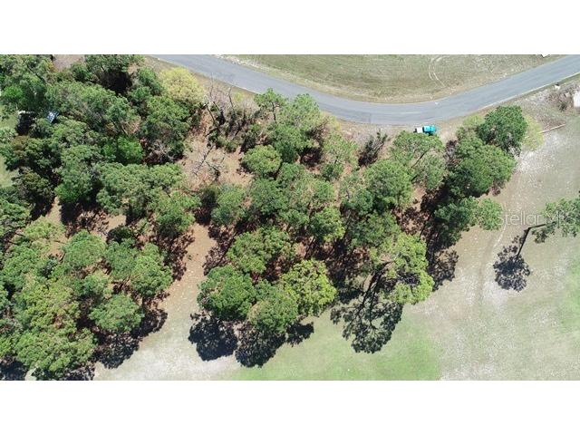 5339 Keysville Avenue Spring Hill FL 34608 W7873438 image3