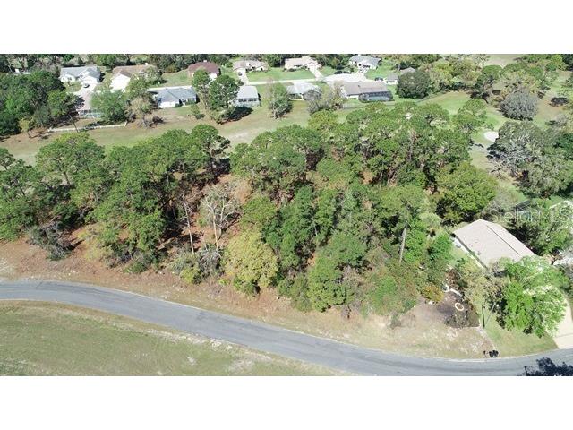 5339 Keysville Avenue Spring Hill FL 34608 W7873438 image4