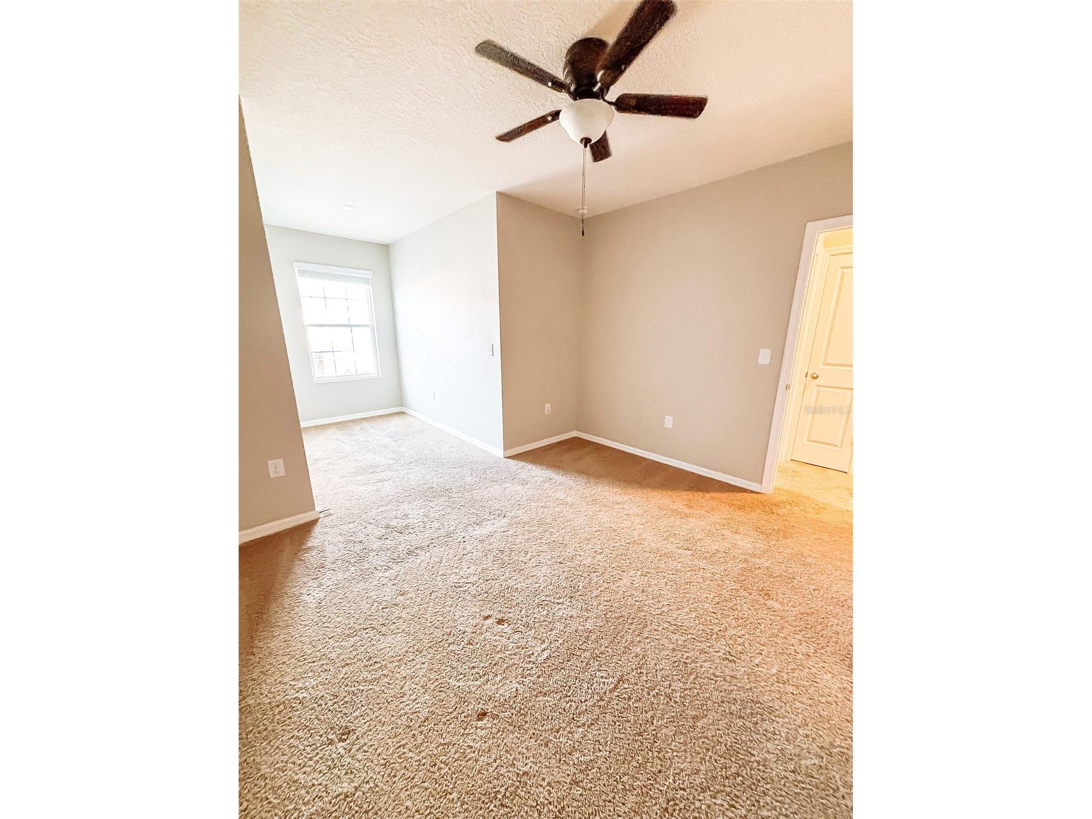 5339 Loblolly Lane Wildwood FL 34785 G5110307 image6