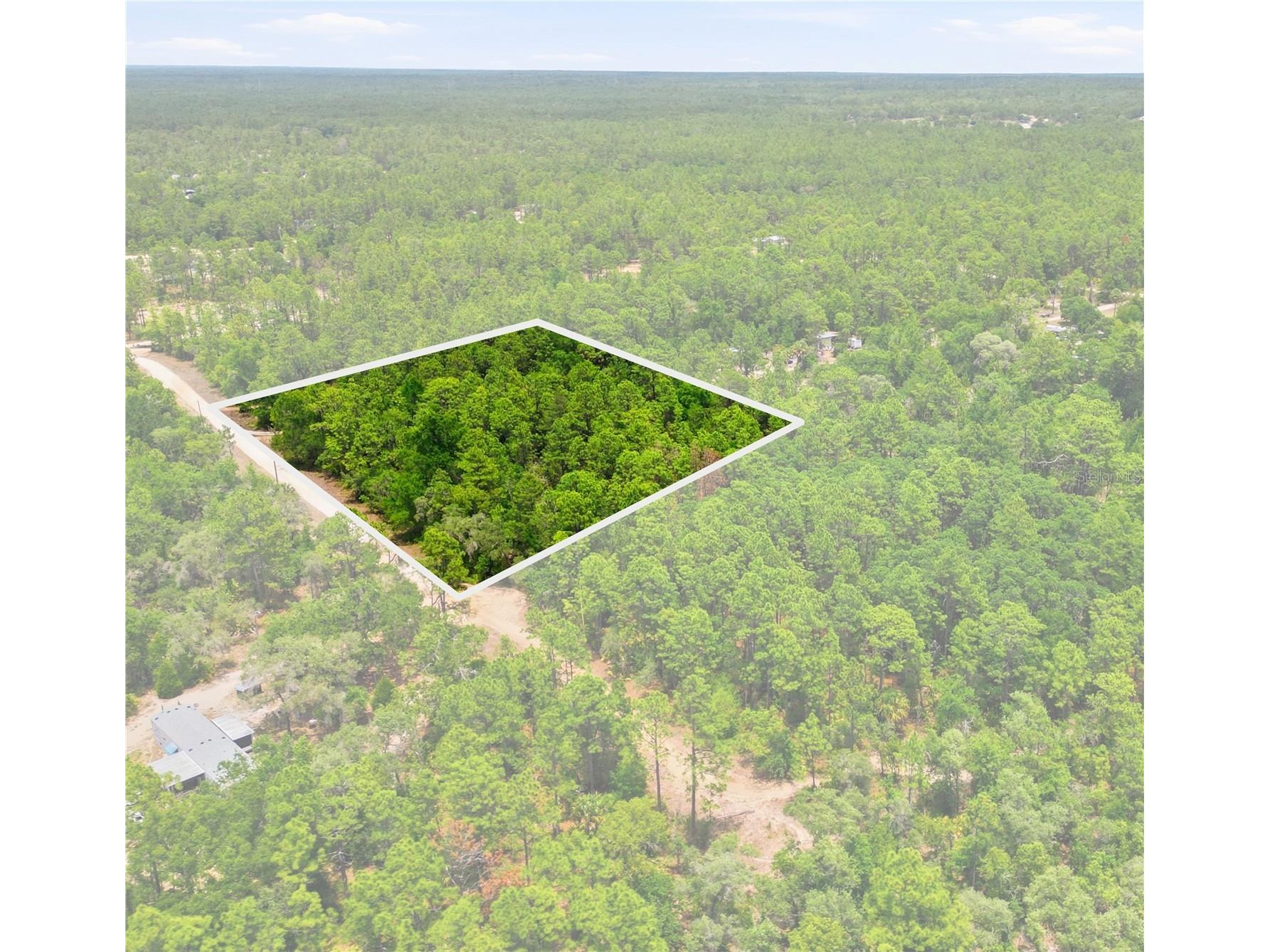 5339 N Lace Point Dunnellon FL 34433 OM724736 image1