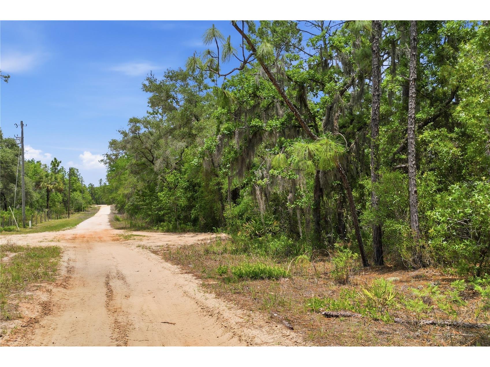 5339 N Lace Point Dunnellon FL 34433 OM724736 image2