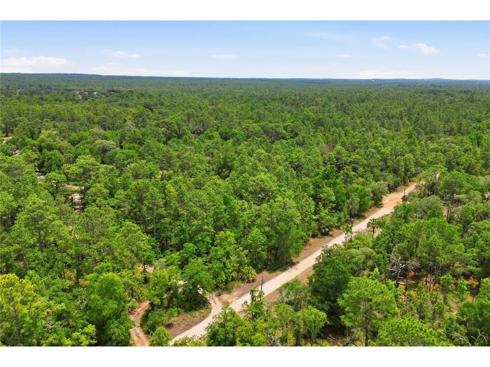 5339 N Lace Point Dunnellon FL 34433 OM724736 image3