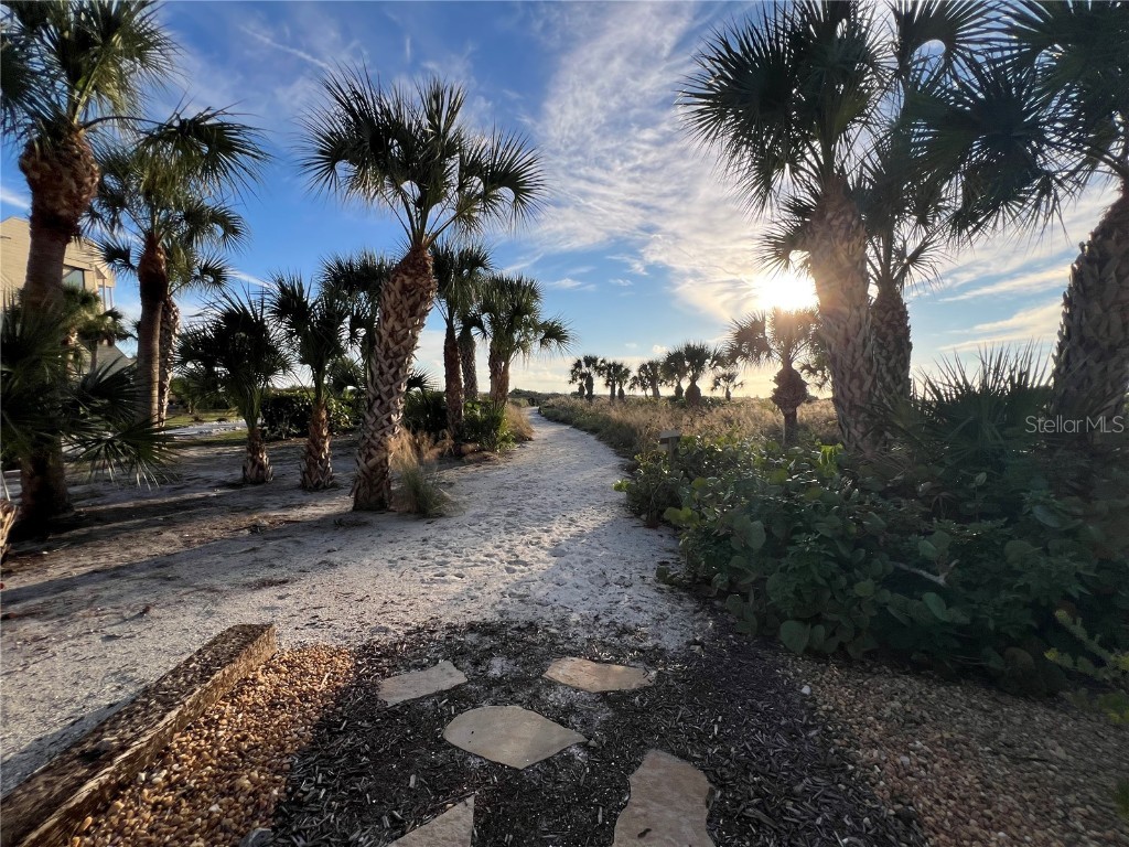 534 Beach Road Sarasota FL 34242 - THE GULF A4675609 image87