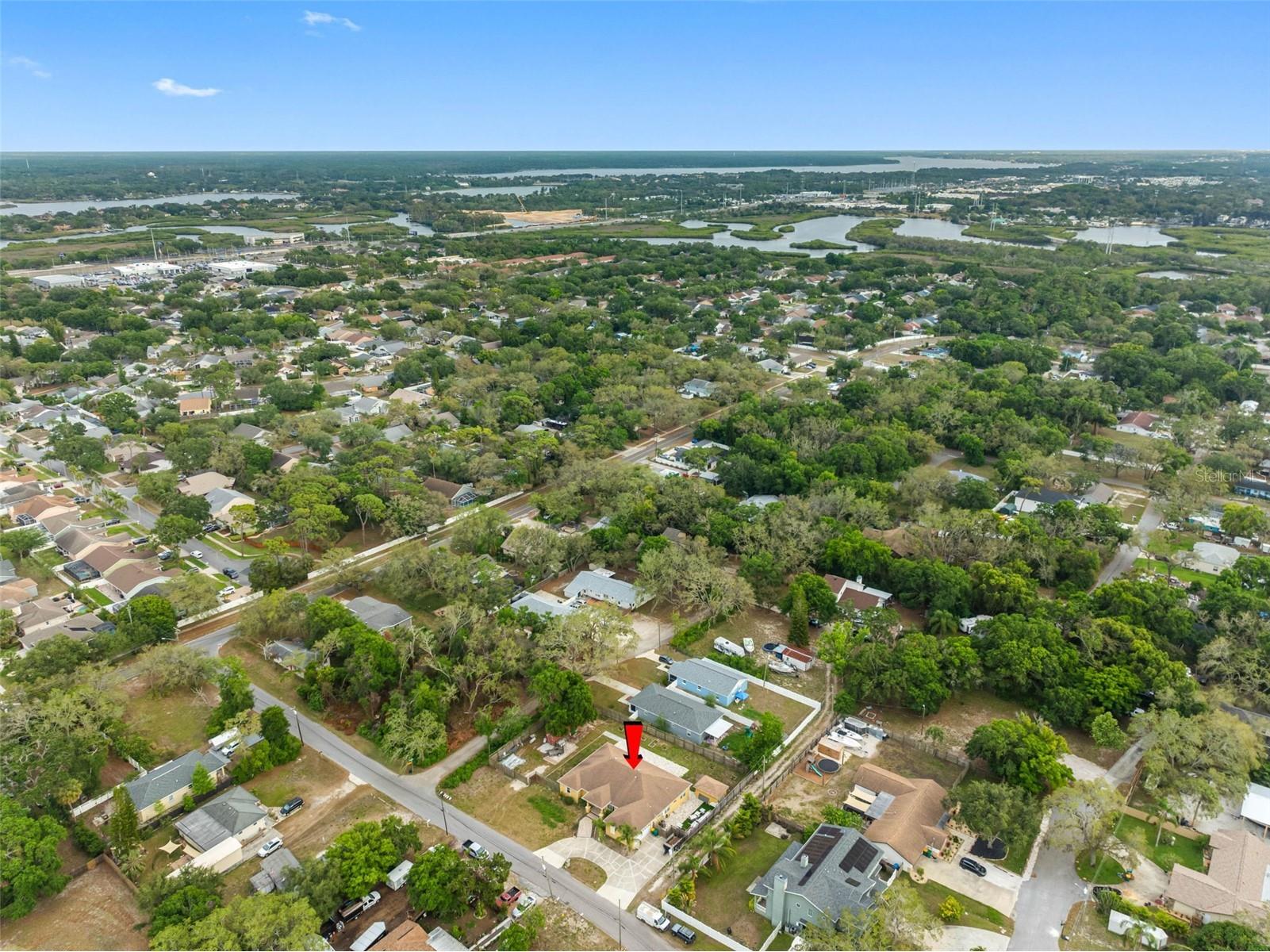 534 Berkley Avenue Tarpon Springs FL 34689 TB8482005 image52