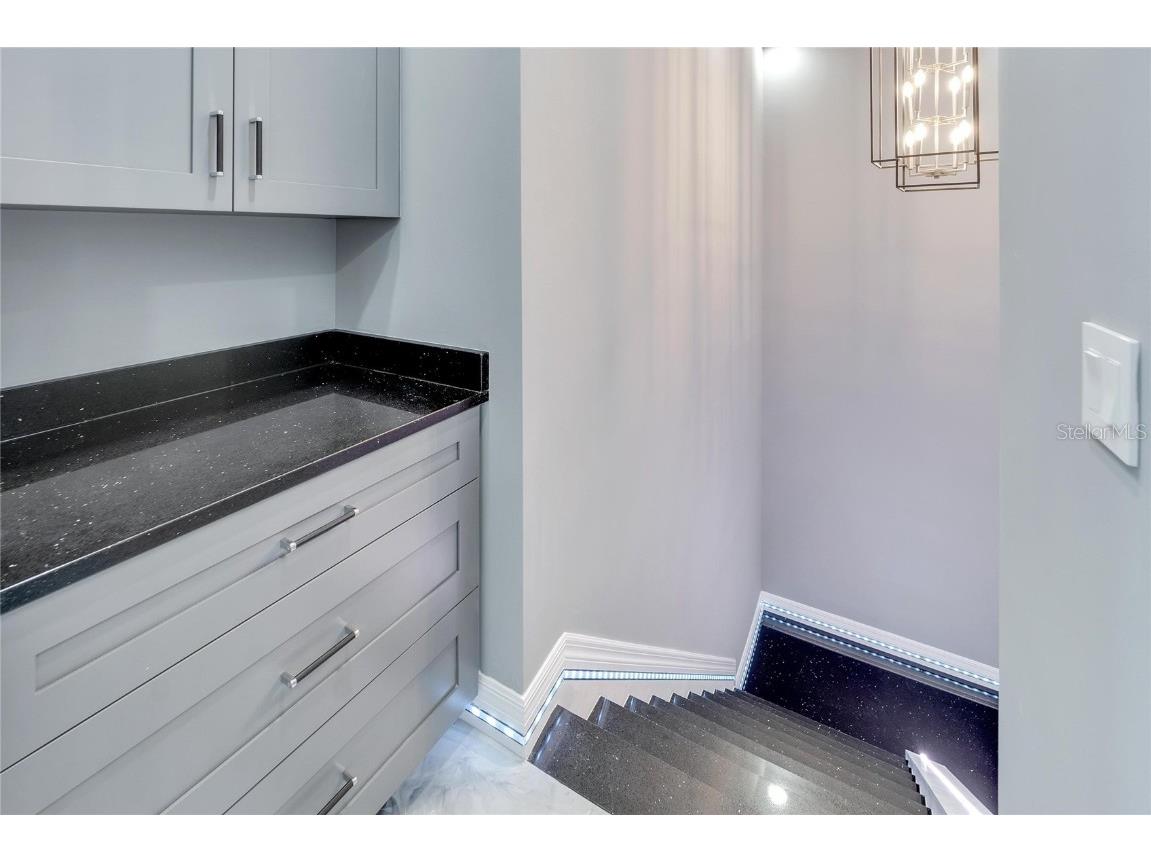 534 Estuary Shore Lane Apollo Beach FL 33572 T3513081 image49