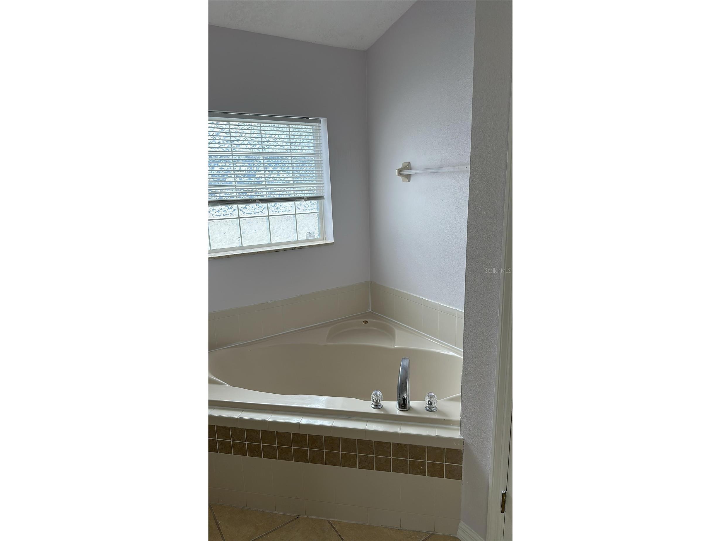 534 Lake Sumner Drive Groveland FL 34736 O6398589 image9