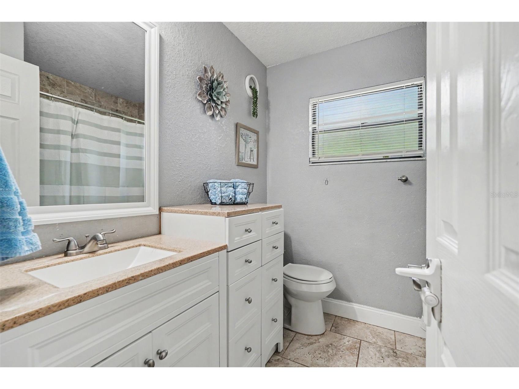 534 Leverett Road Seffner FL 33584 TB8524162 image12