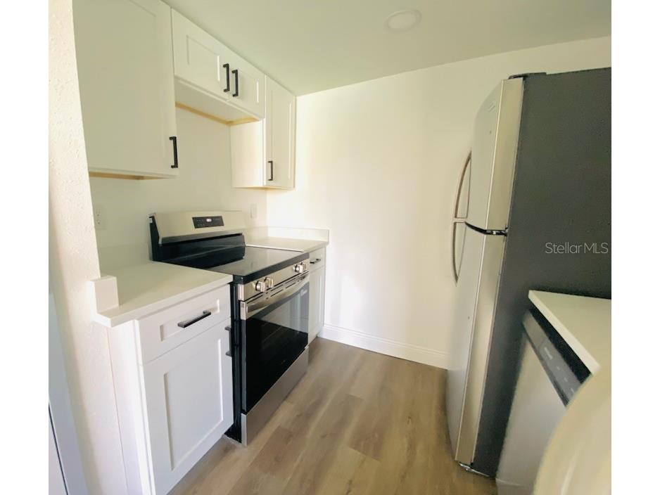 534 Plaza Seville Court #64 Treasure Island FL 33706 TB8485135 image14