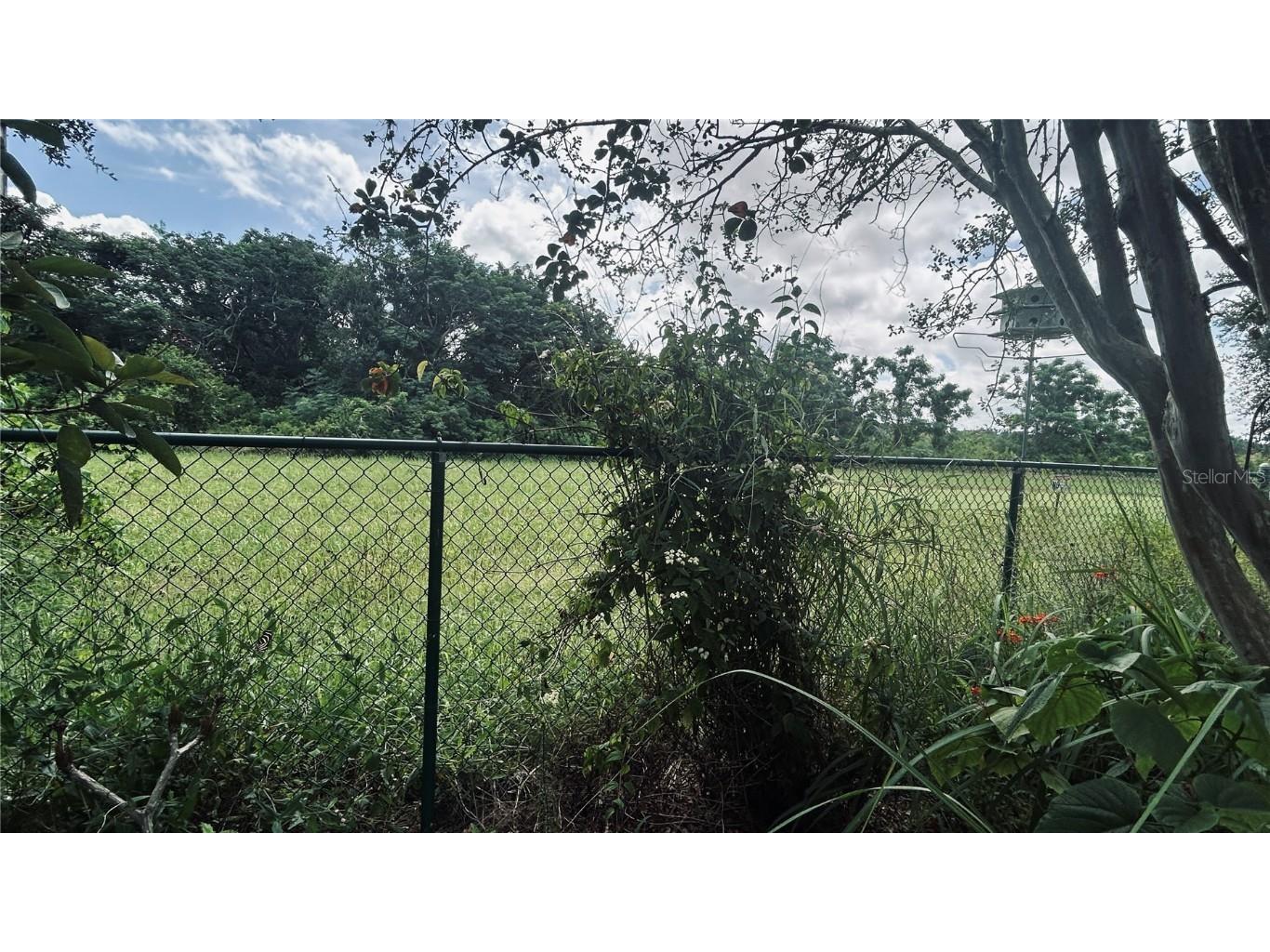 534 Timber Run Lane Groveland FL 34736 O6335416 image21