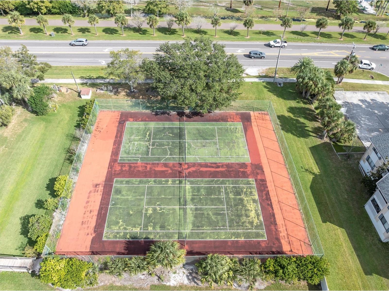 534 Walden Court Dunedin FL 34698 TB8436572 image43
