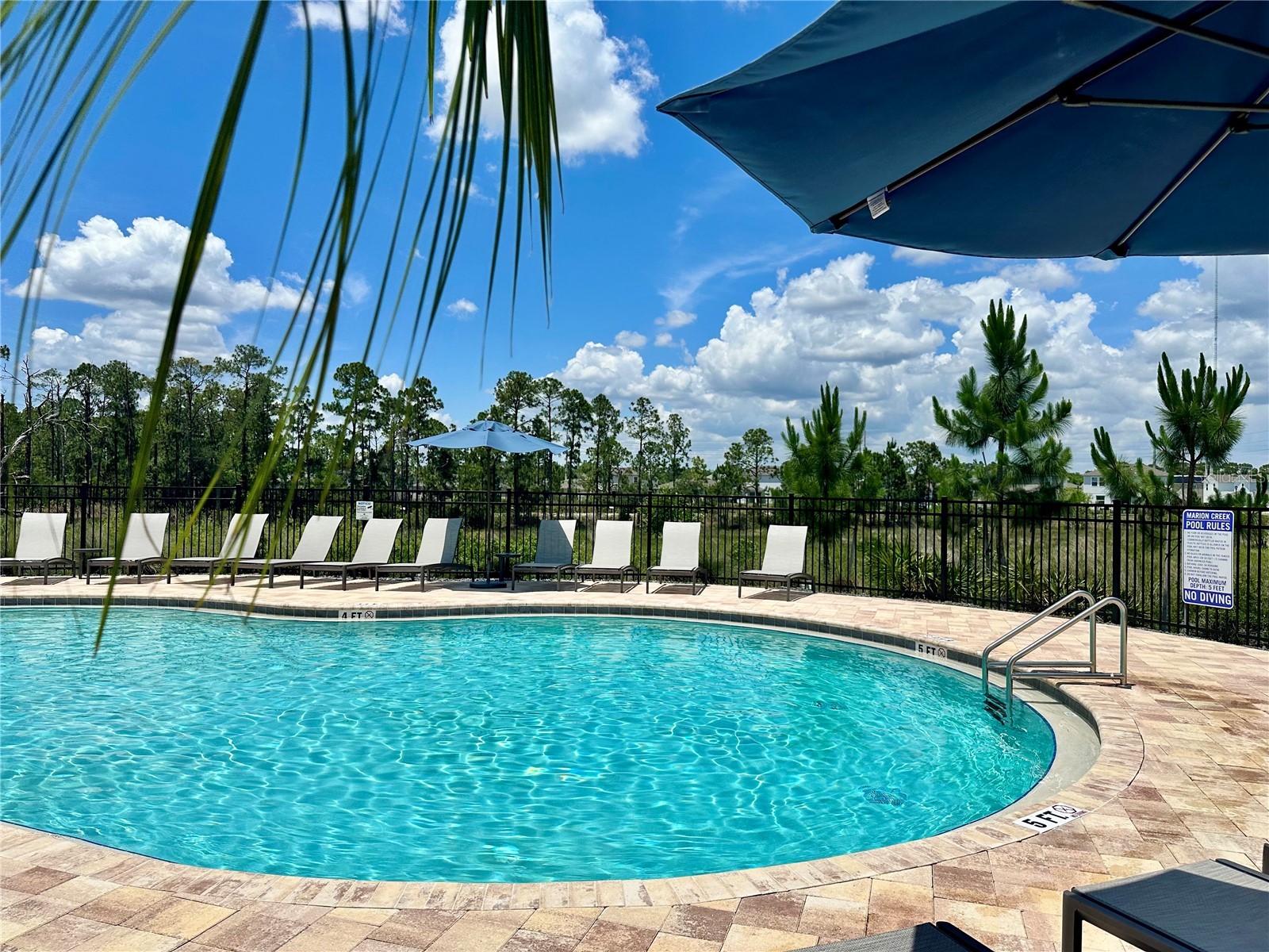 534 Wayland Drive Haines City FL 33844 O6409593 image32