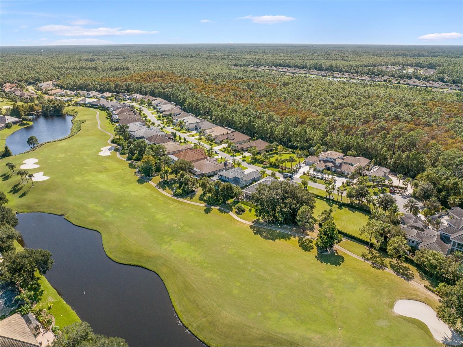 534 Wingspan Drive Ormond Beach FL 32174 FC317085 image69