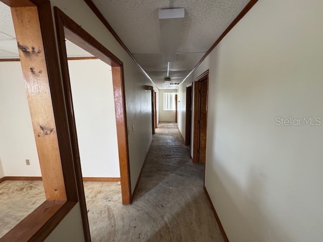 5340 Gulf Drive #203 New Port Richey FL 34652 W7877372 image7