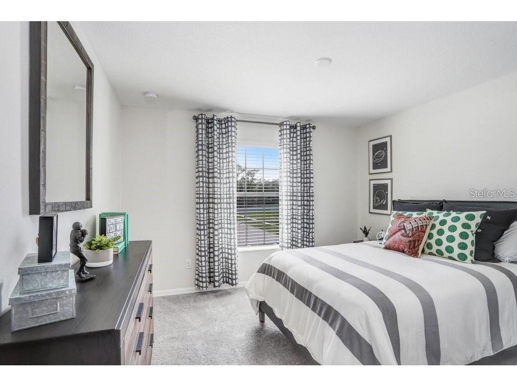 5341 Coldpine Place Seffner FL 33584 TB8460552 image19