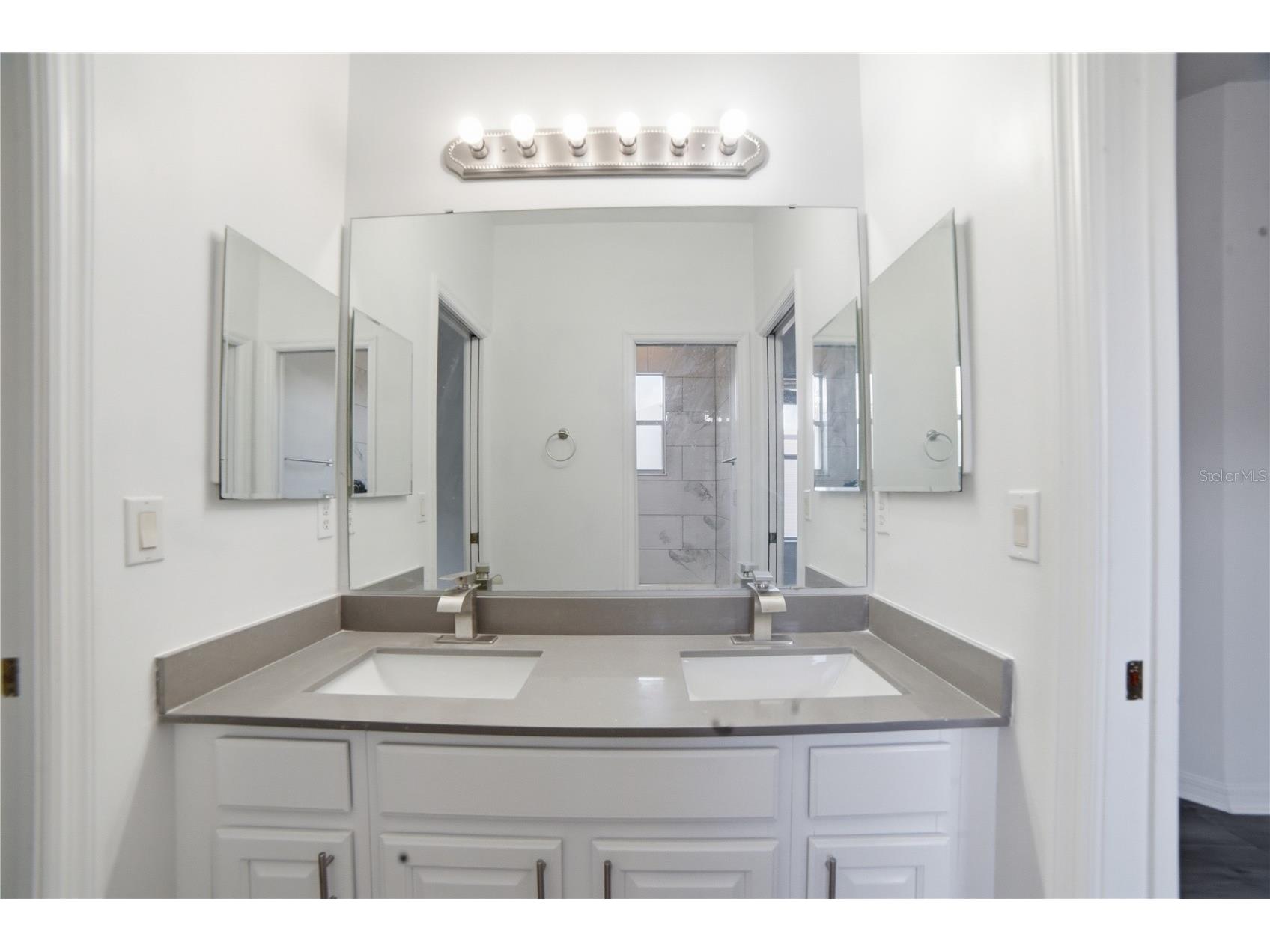 5341 Pepper Brush Cove Apopka FL 32703 O6411260 image29