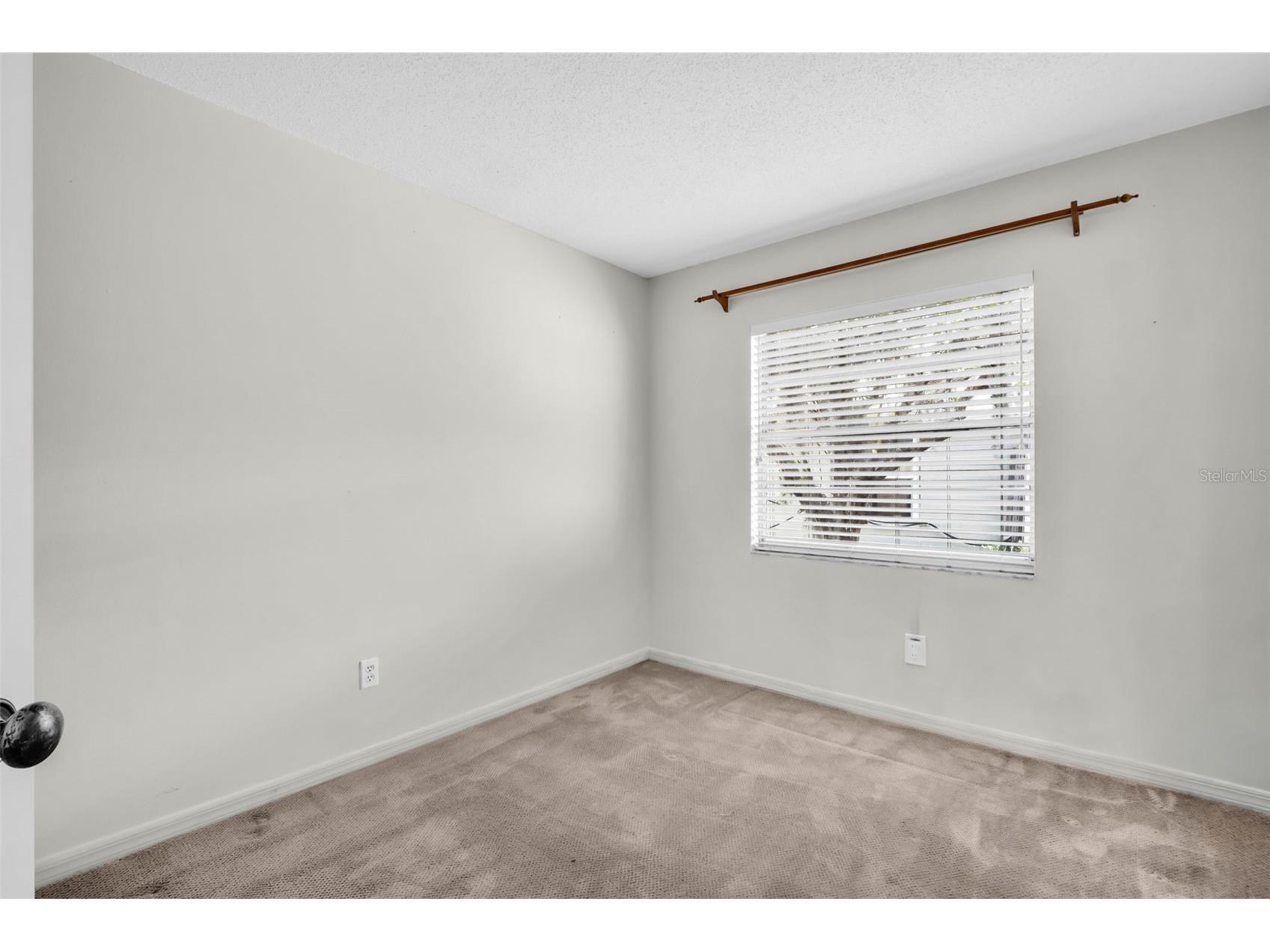 5341 Southwick Drive Tampa FL 33624 TB8496083 image23