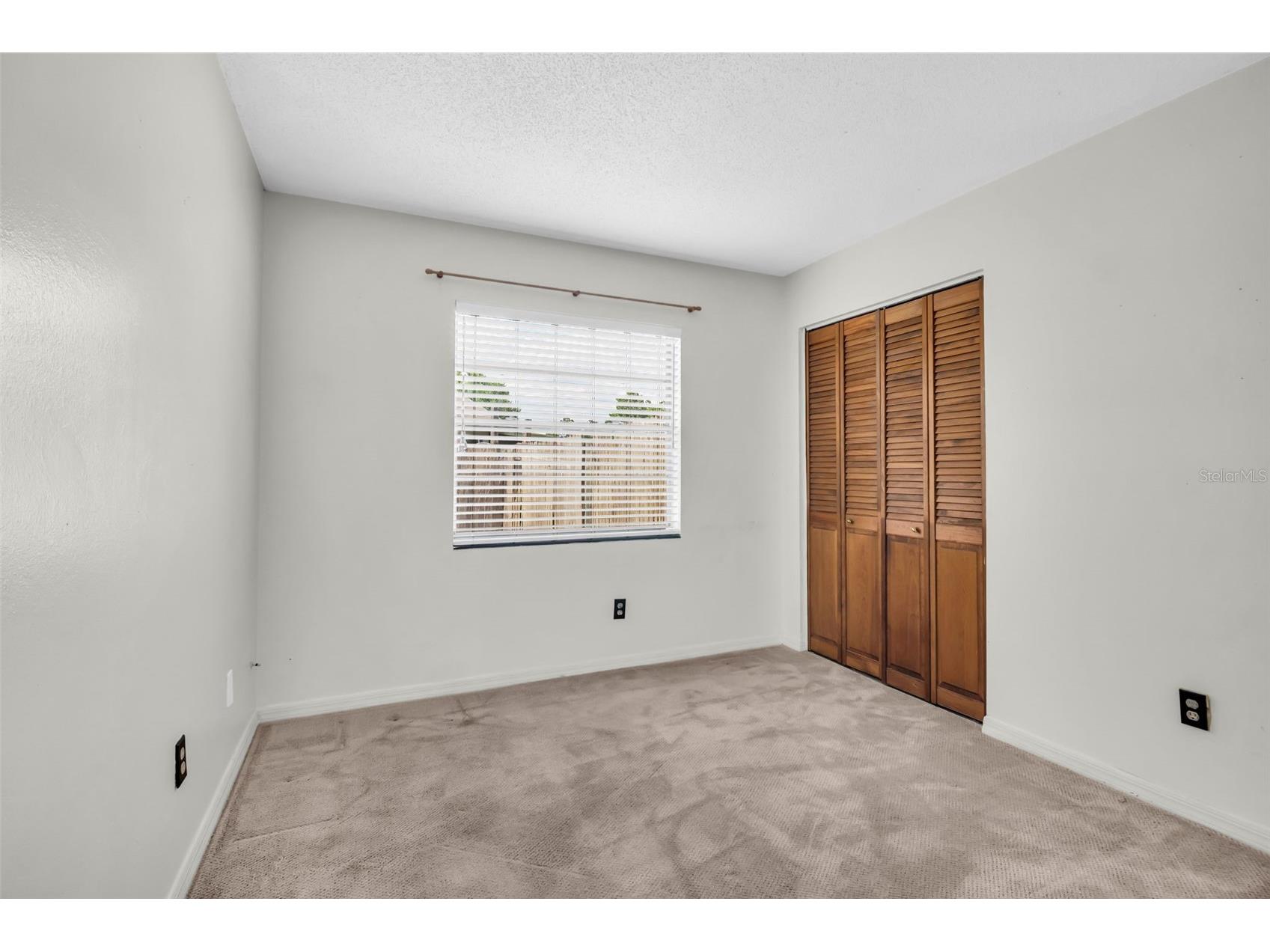 5341 Southwick Drive Tampa FL 33624 TB8496083 image24