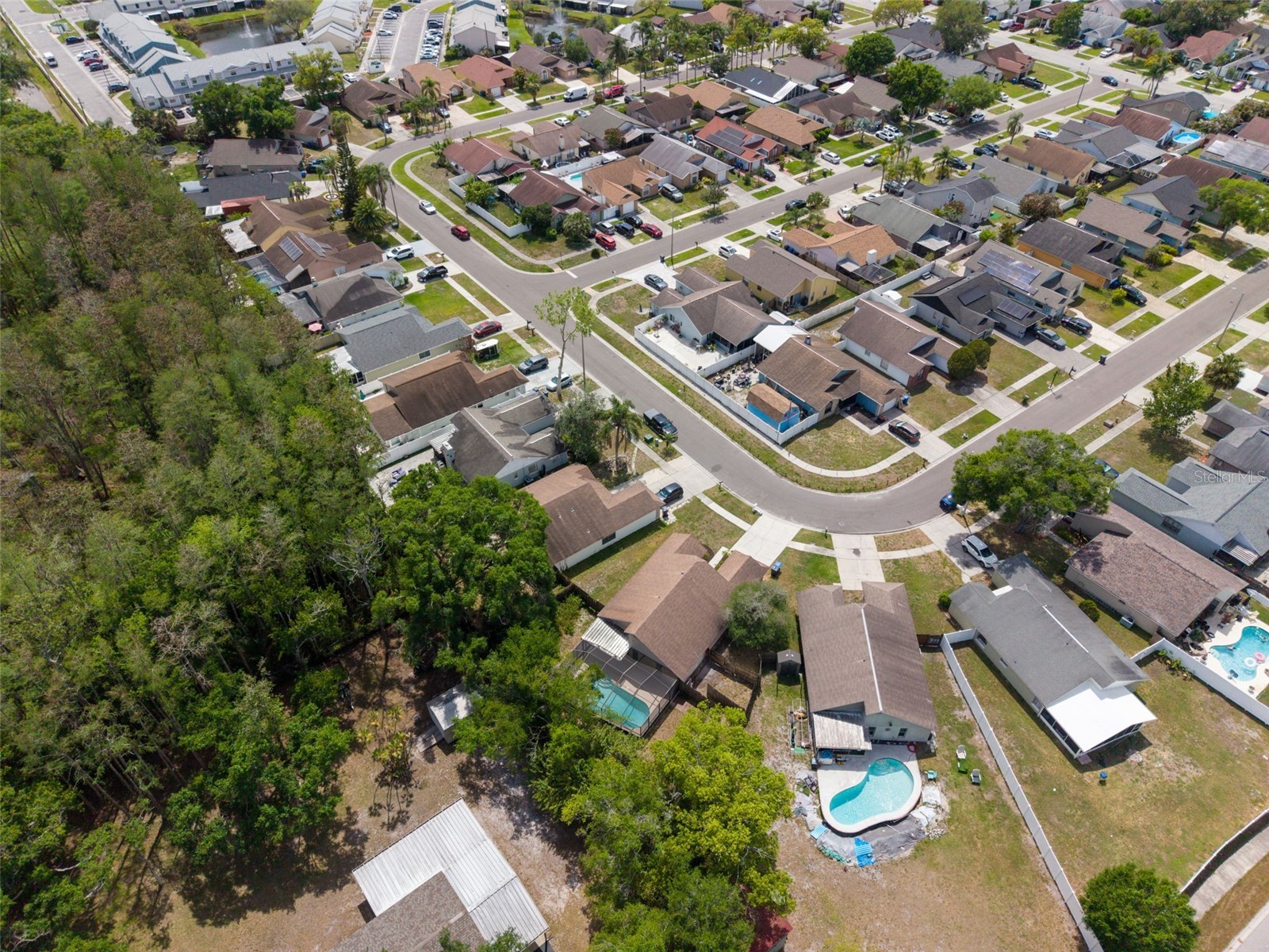 5341 Southwick Drive Tampa FL 33624 TB8496083 image43