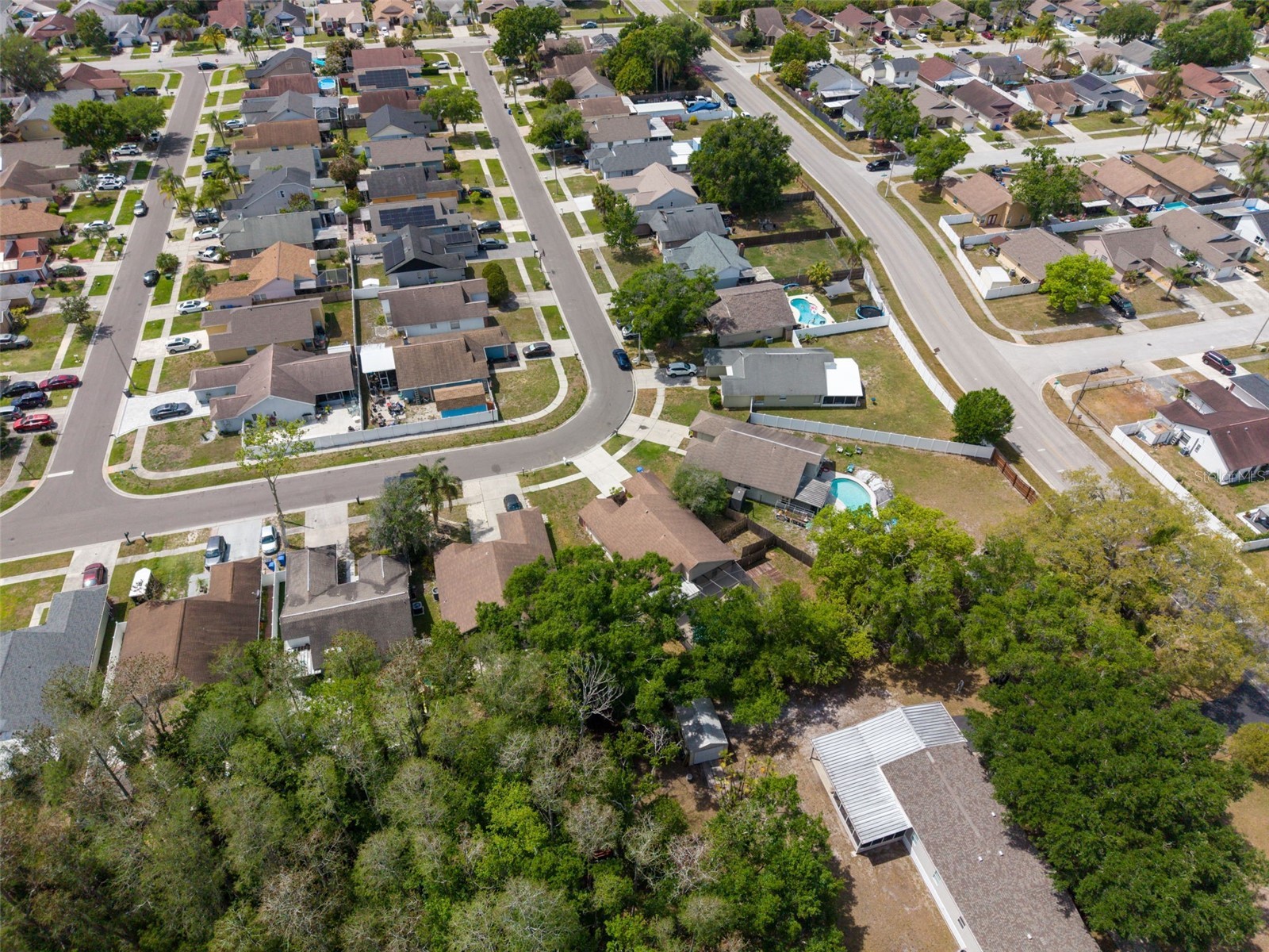 5341 Southwick Drive Tampa FL 33624 TB8496083 image45