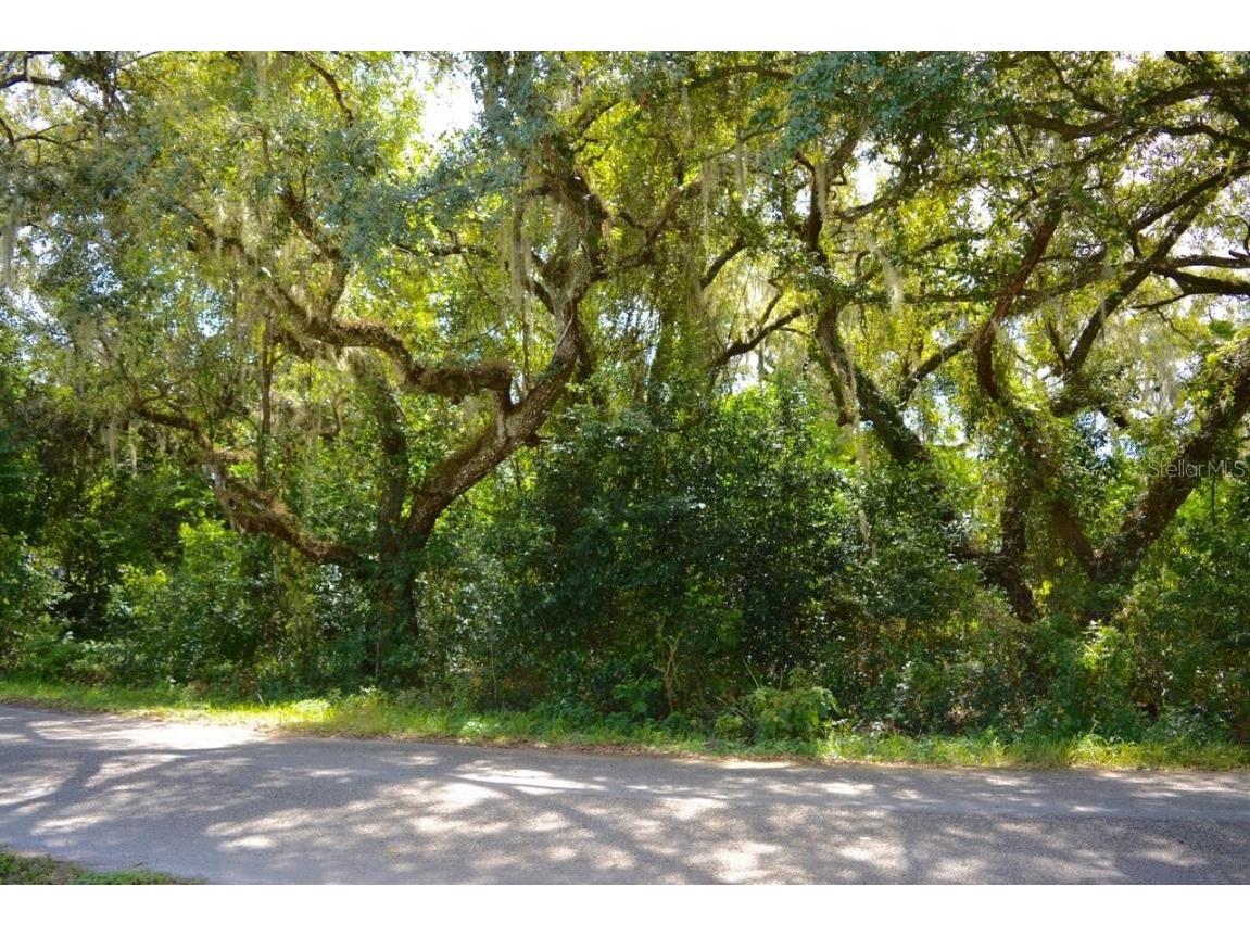 5343 Azalea Circle Dade City FL 33523 G5074196 image1