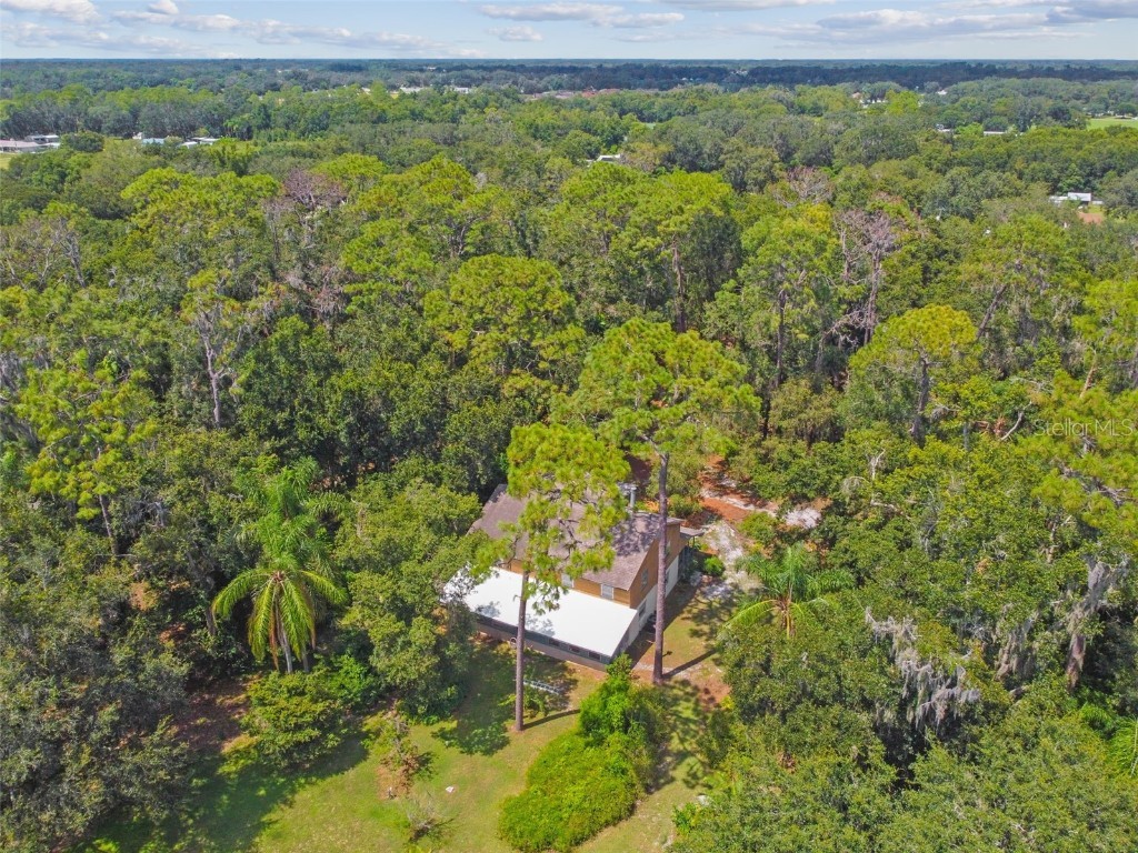 5343 Downing Street Dover FL 33527 D6132268 image1