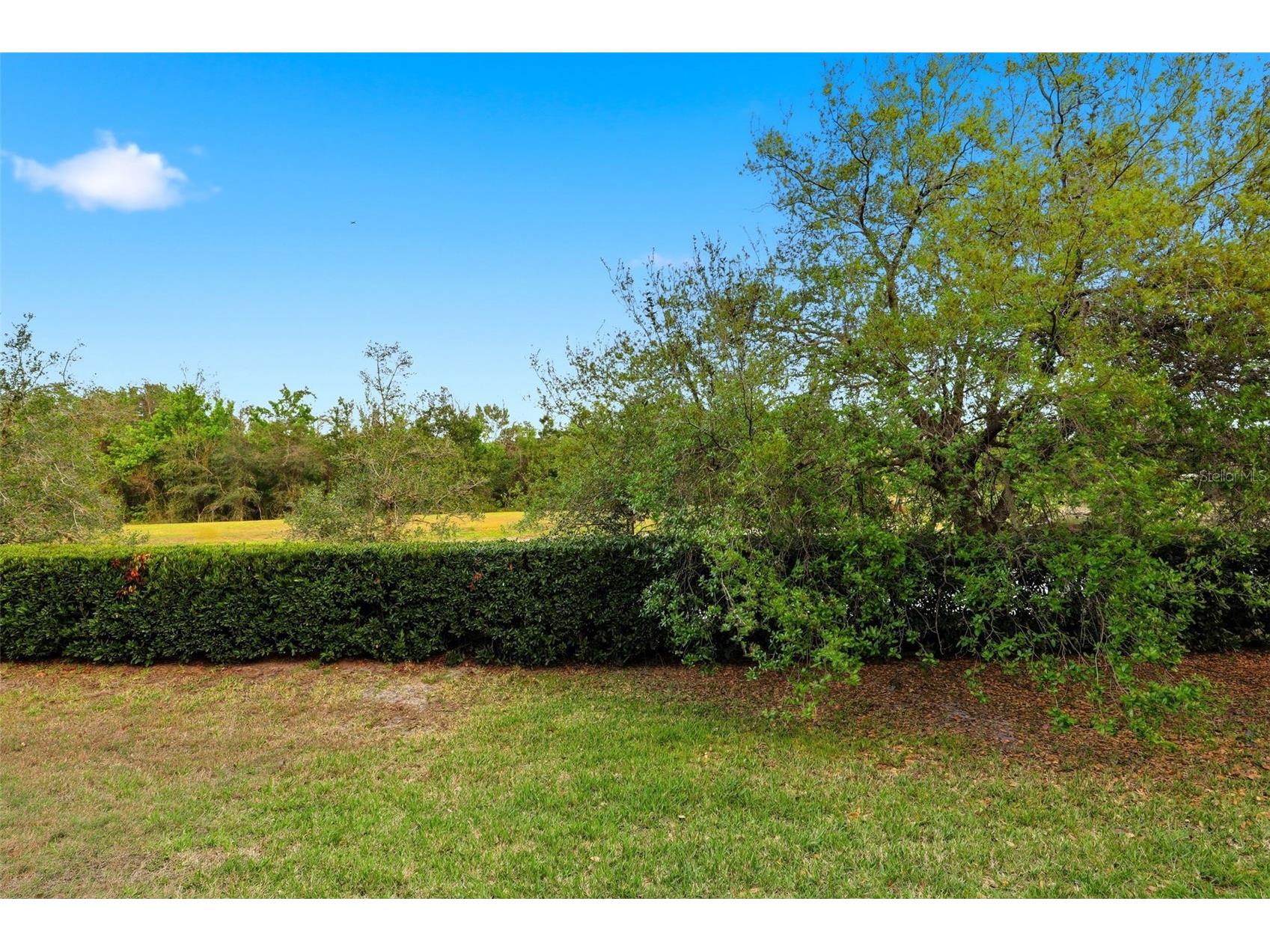 5343 Hidden Cypress Lane Oviedo FL 32765 O6390037 image36