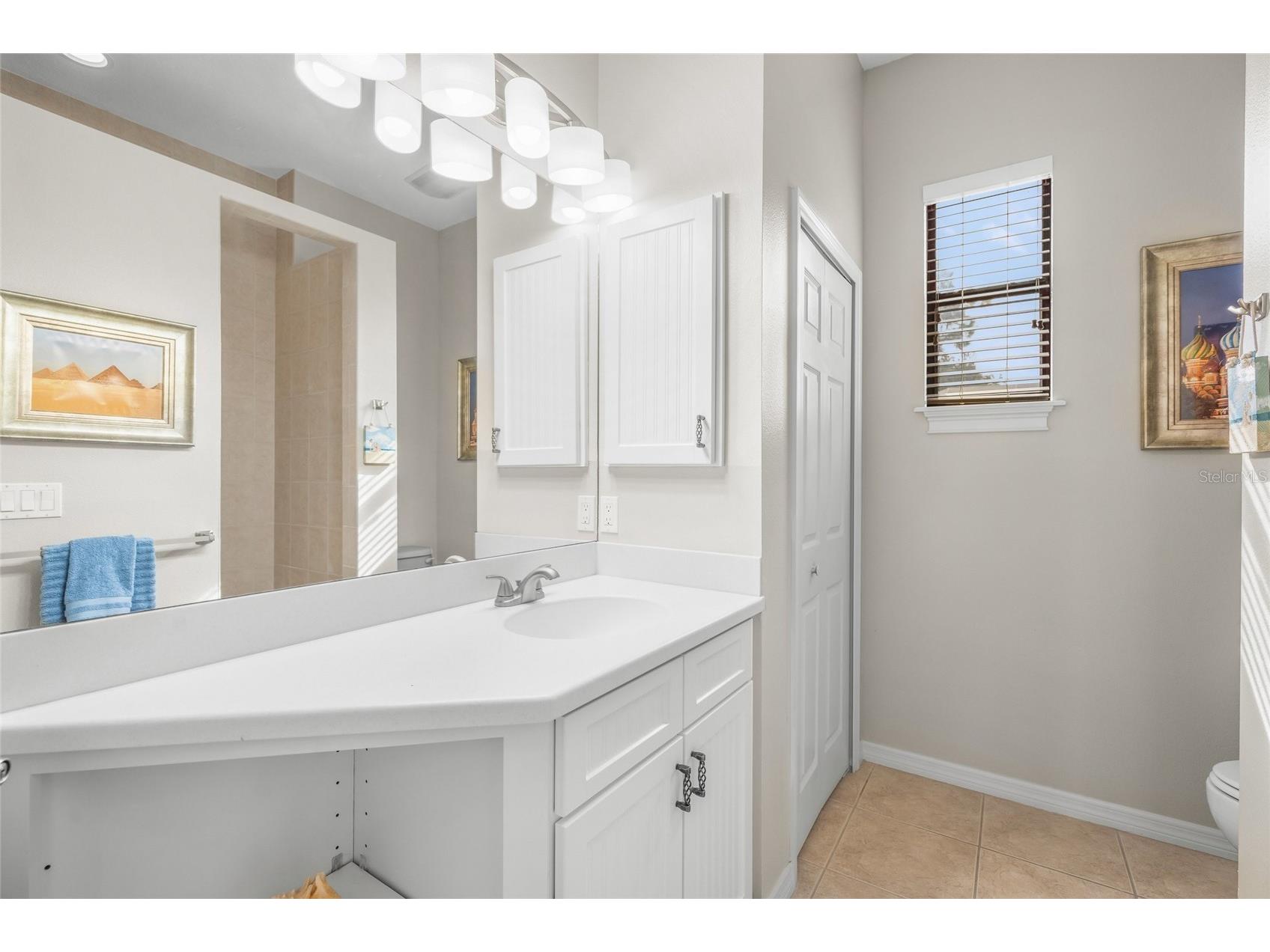 5343 Nathaniel Place Sarasota FL 34233 A4674920 image29
