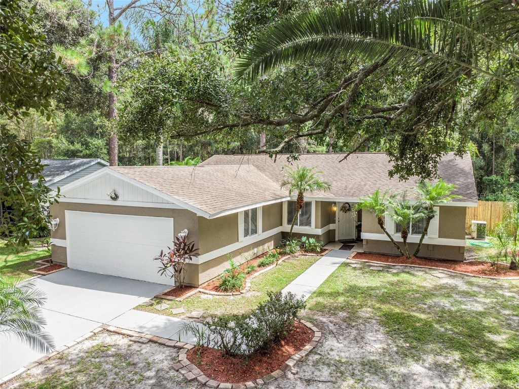 5344 Black Pine Drive Tampa FL 33624 TB8302422 image1