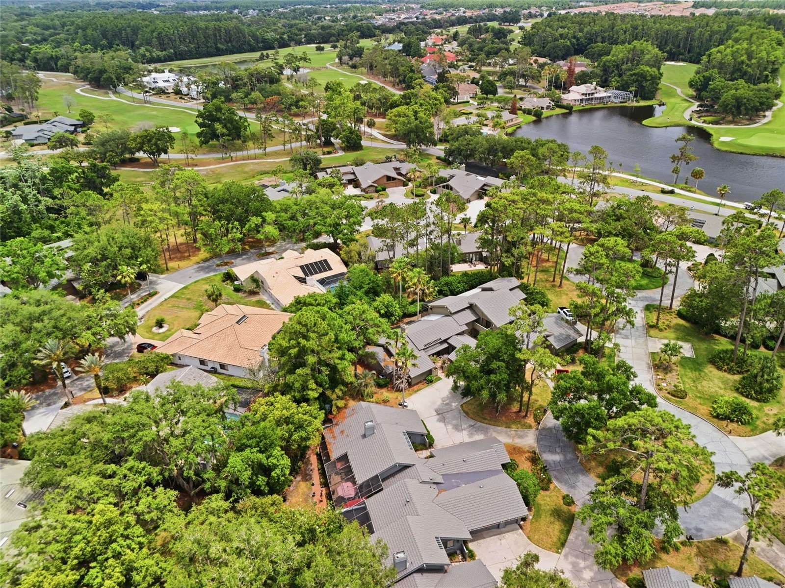 5344 Cobblestone Court Wesley Chapel FL 33543 TB8507697 image39