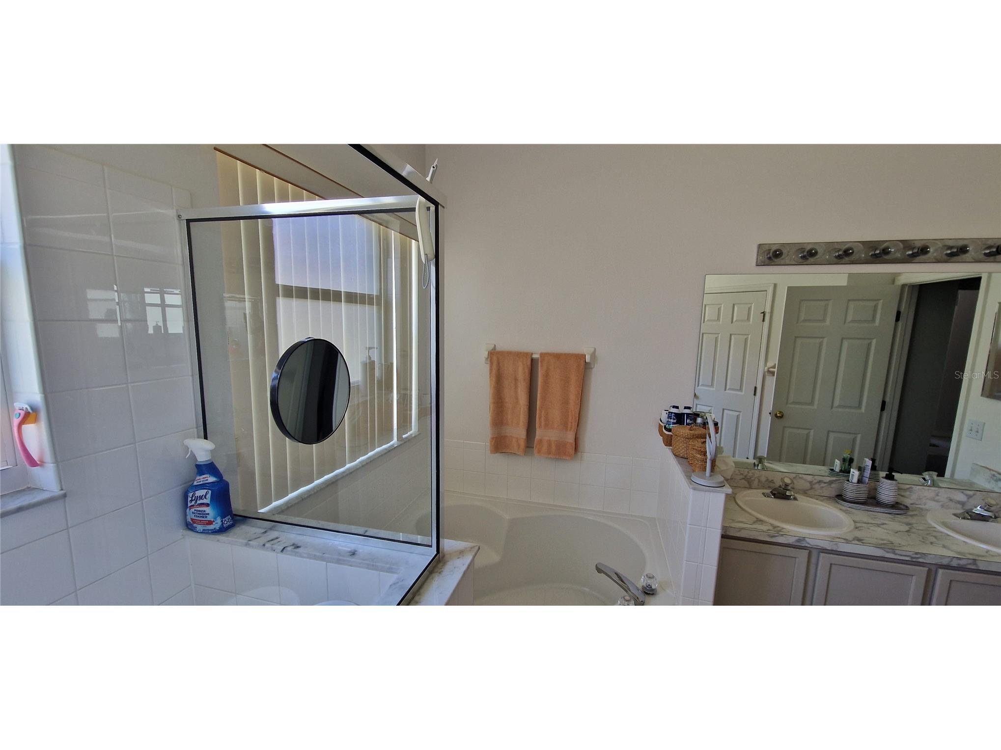 5344 Coral Vine Lane Kissimmee FL 34758 S5150325 image26