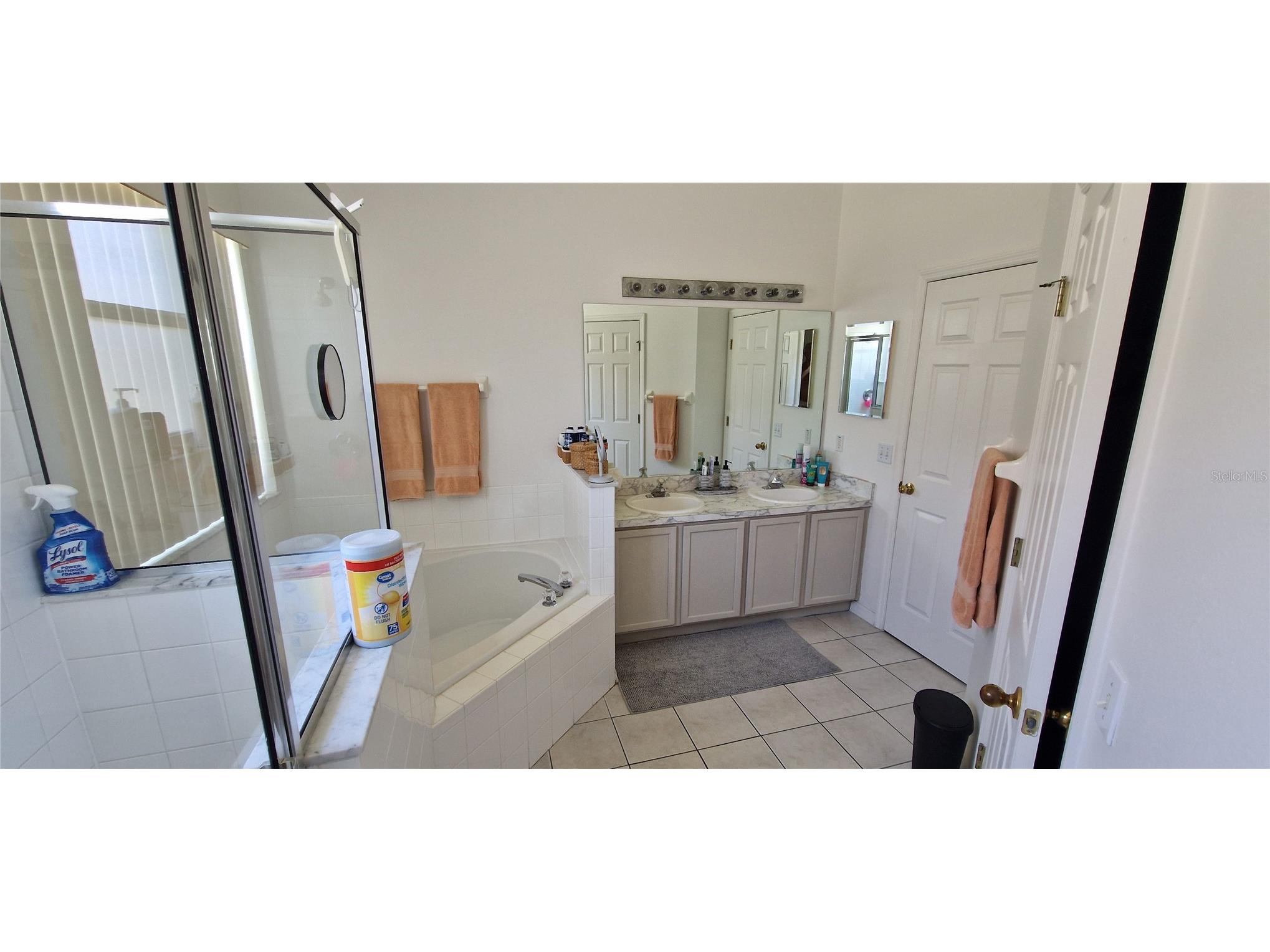 5344 Coral Vine Lane Kissimmee FL 34758 S5150325 image27
