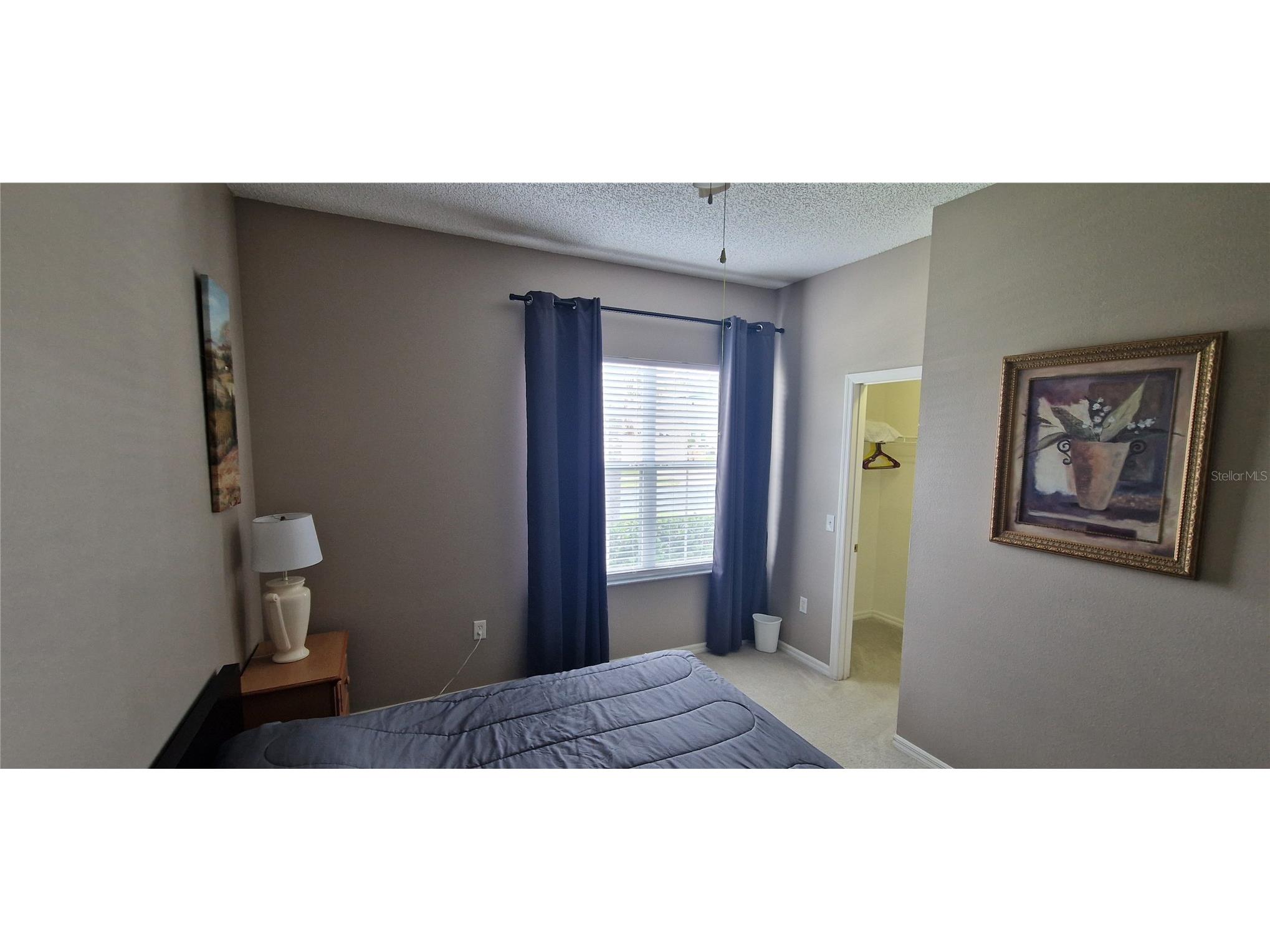 5344 Coral Vine Lane Kissimmee FL 34758 S5150325 image34