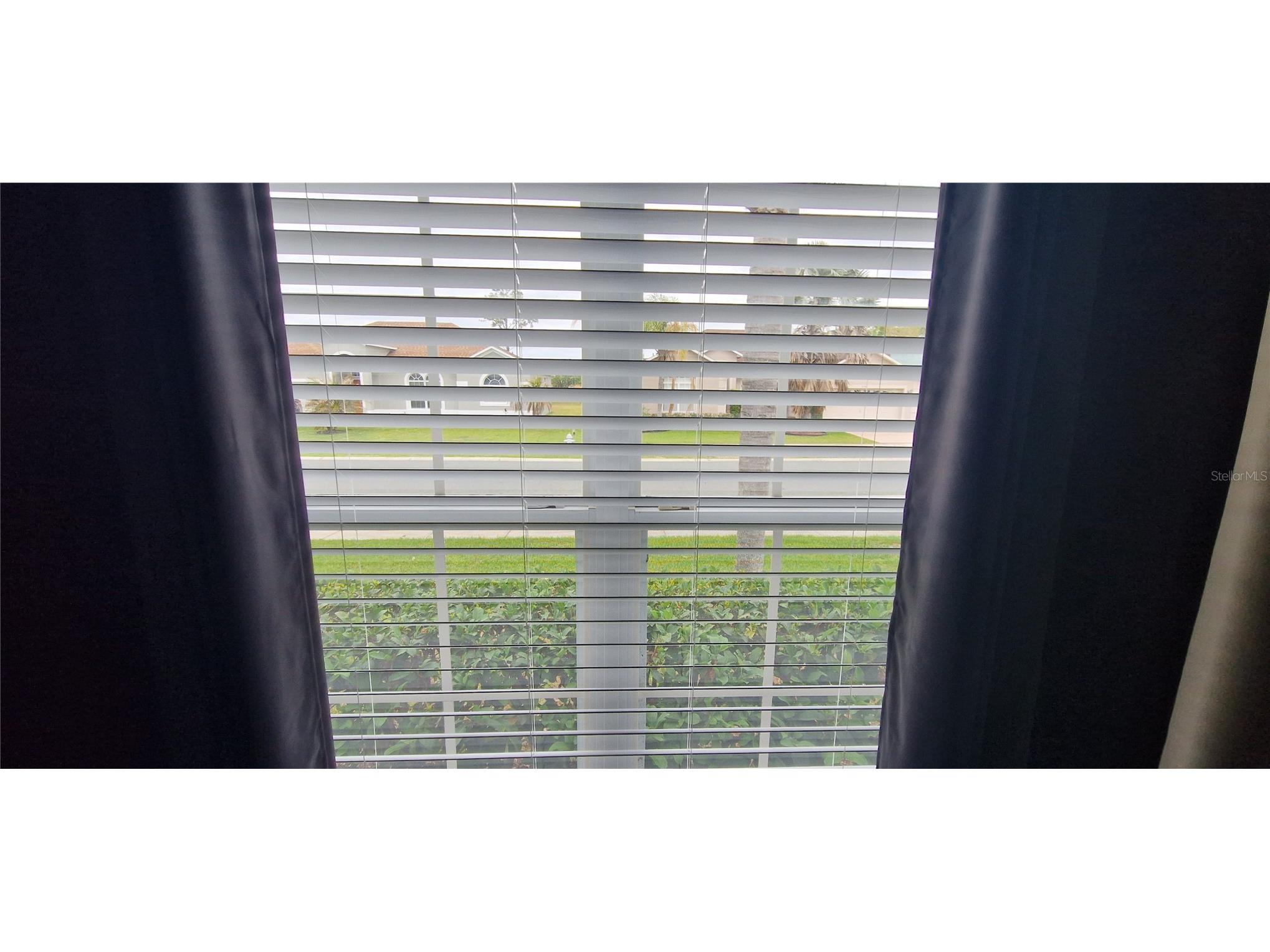 5344 Coral Vine Lane Kissimmee FL 34758 S5150325 image35