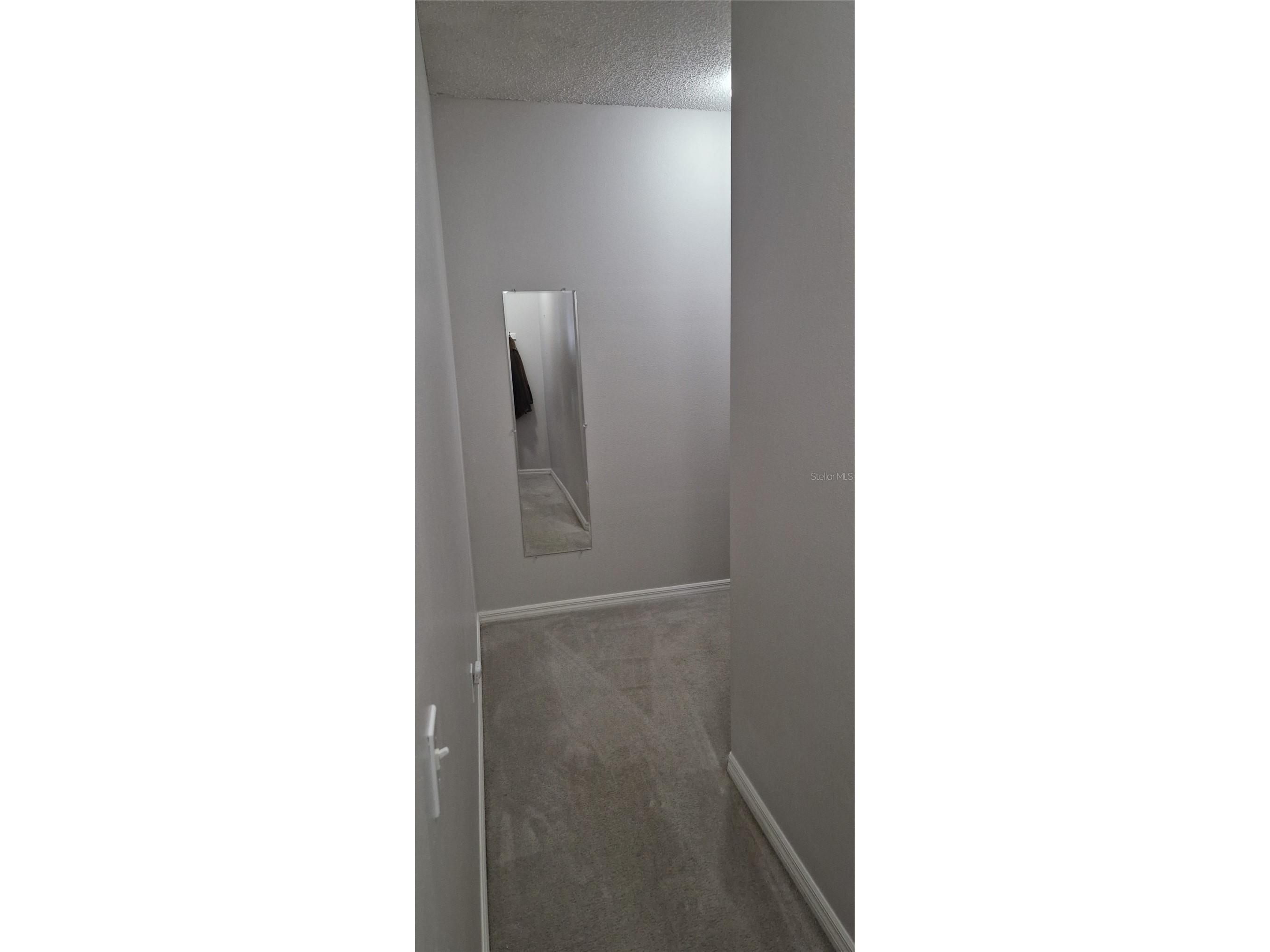 5344 Coral Vine Lane Kissimmee FL 34758 S5150325 image42