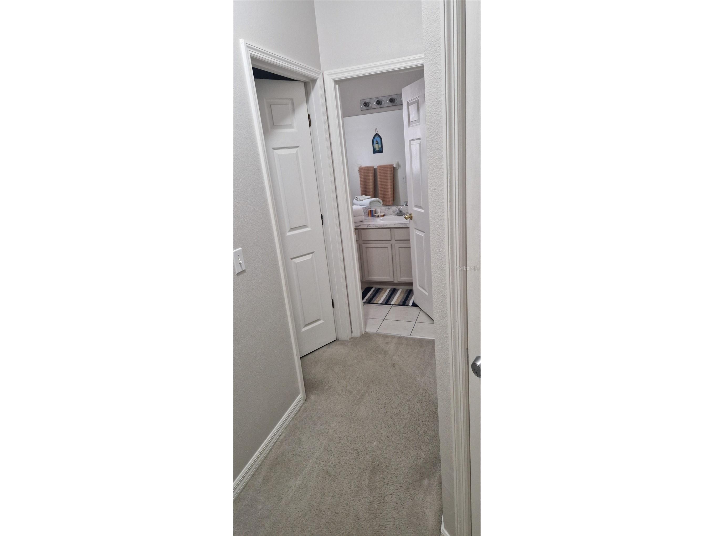 5344 Coral Vine Lane Kissimmee FL 34758 S5150325 image43