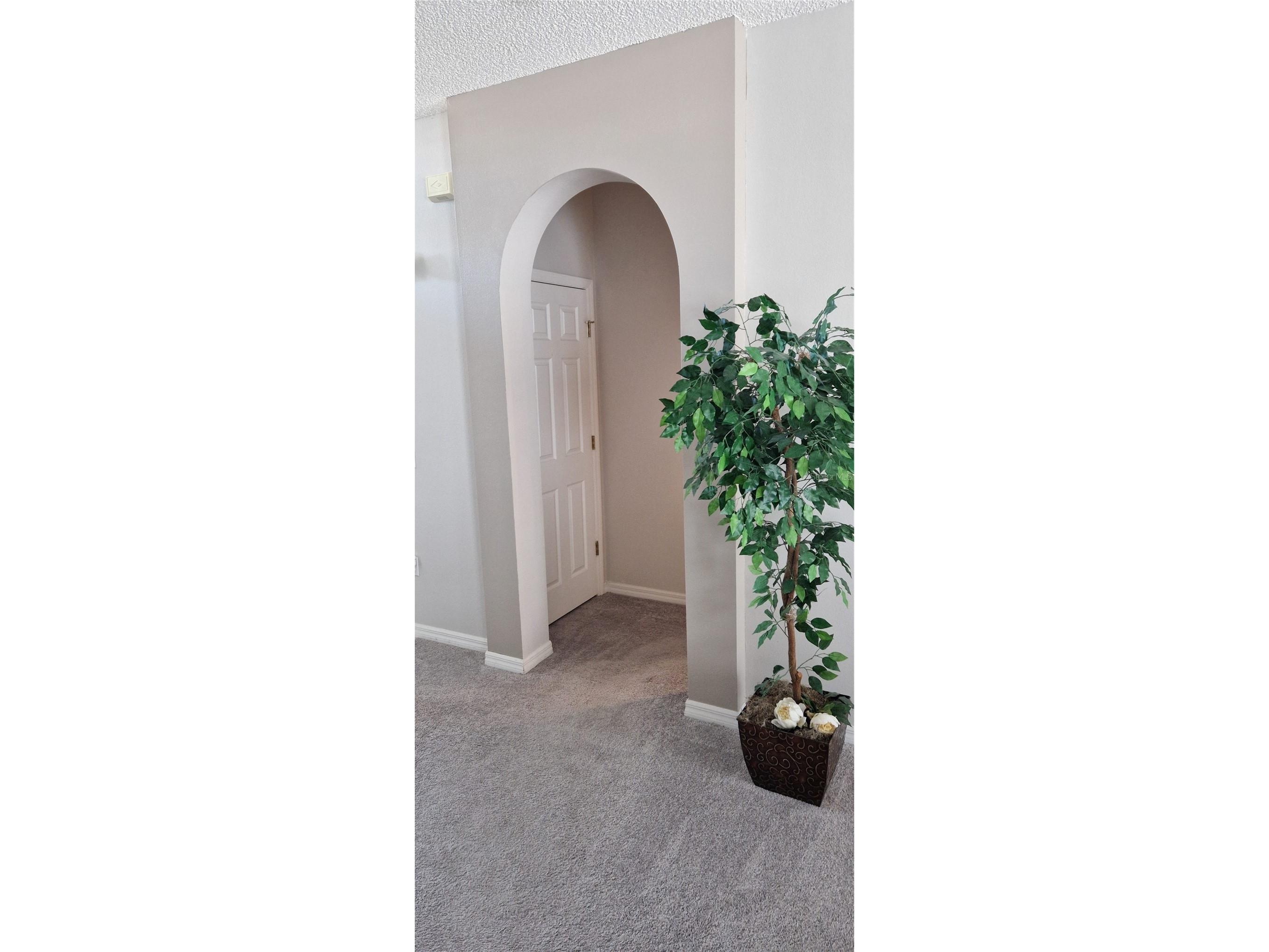 5344 Coral Vine Lane Kissimmee FL 34758 S5150325 image65