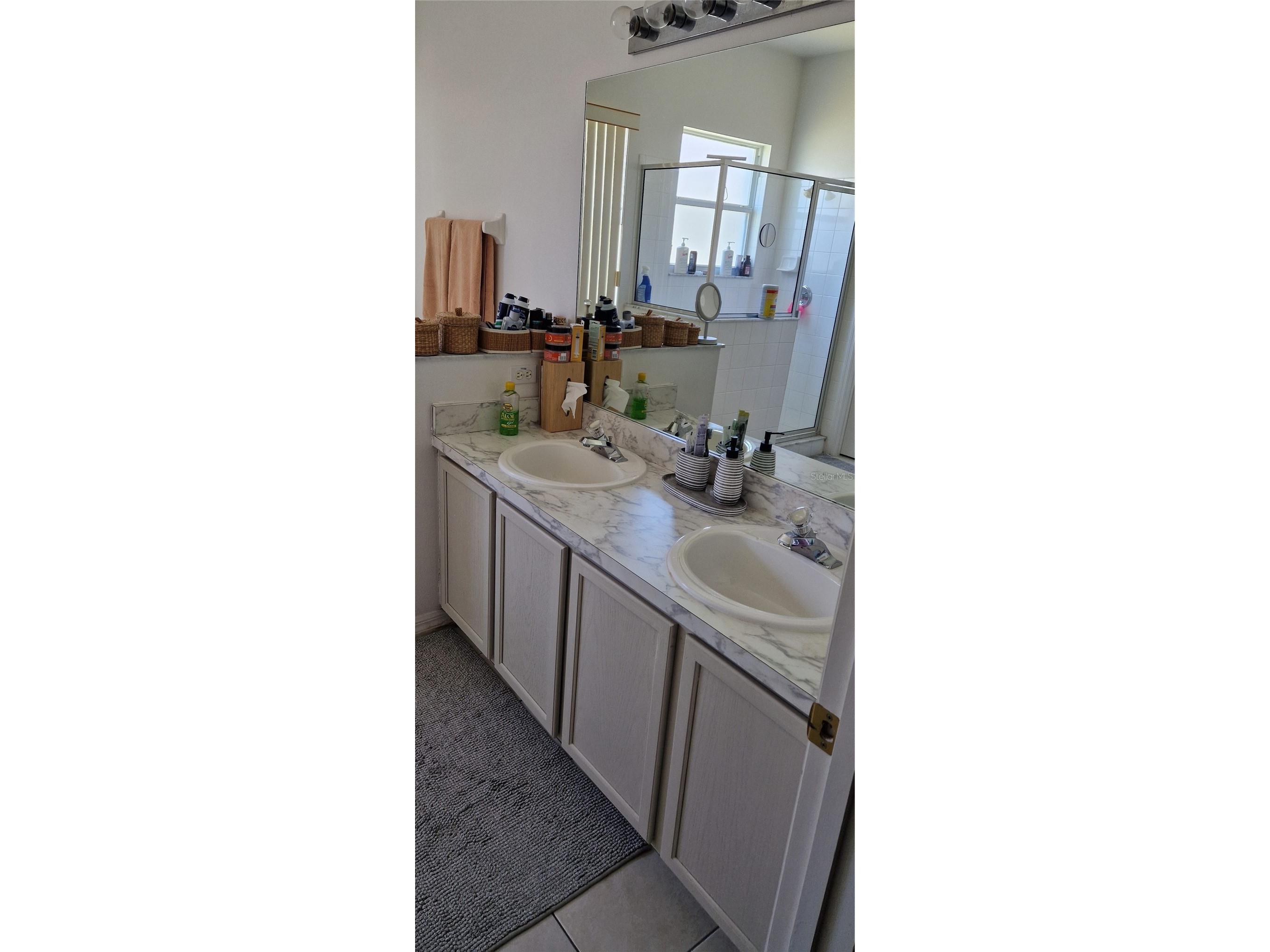 5344 Coral Vine Lane Kissimmee FL 34758 S5150325 image66