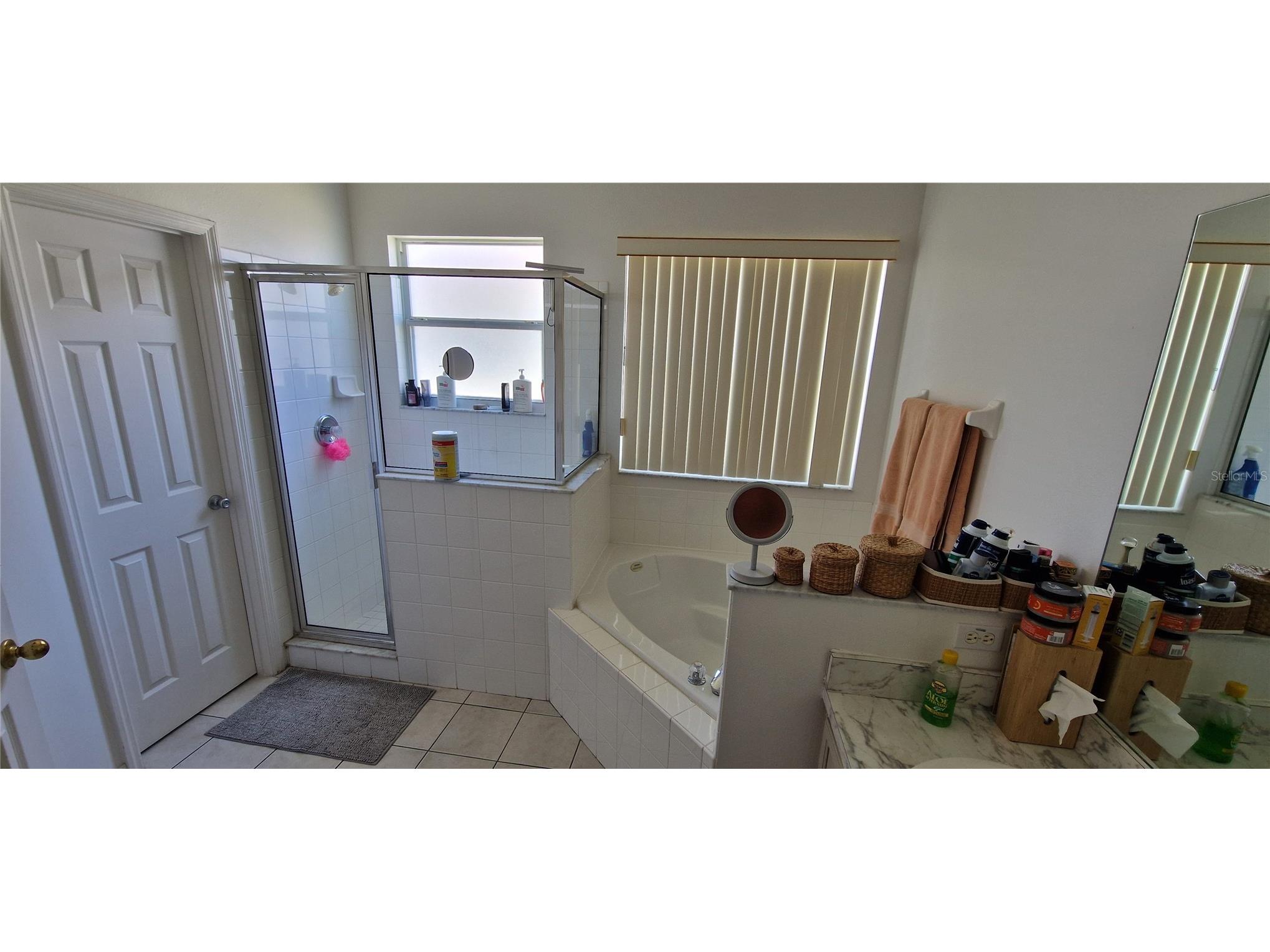 5344 Coral Vine Lane Kissimmee FL 34758 S5150325 image67