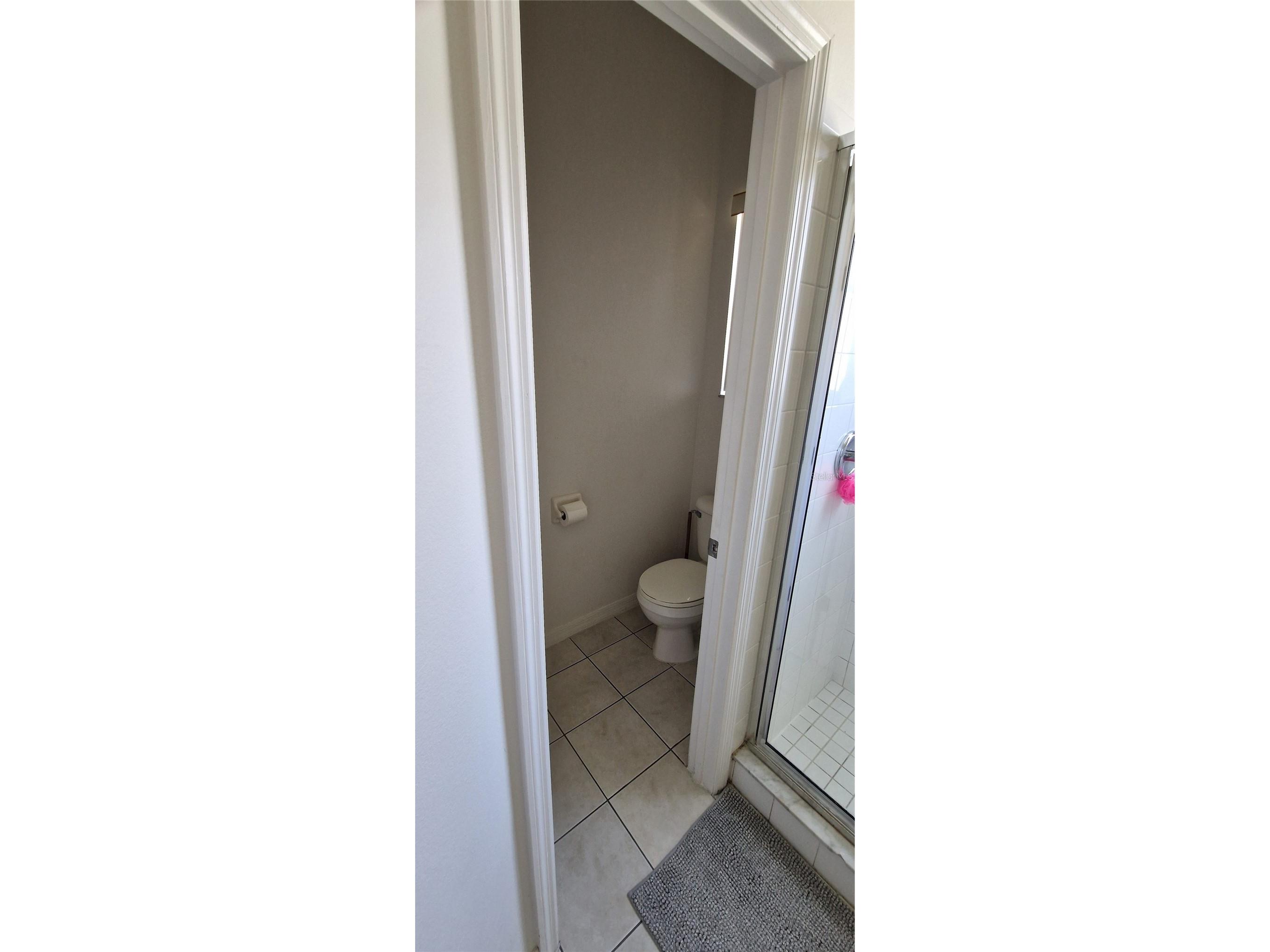 5344 Coral Vine Lane Kissimmee FL 34758 S5150325 image68