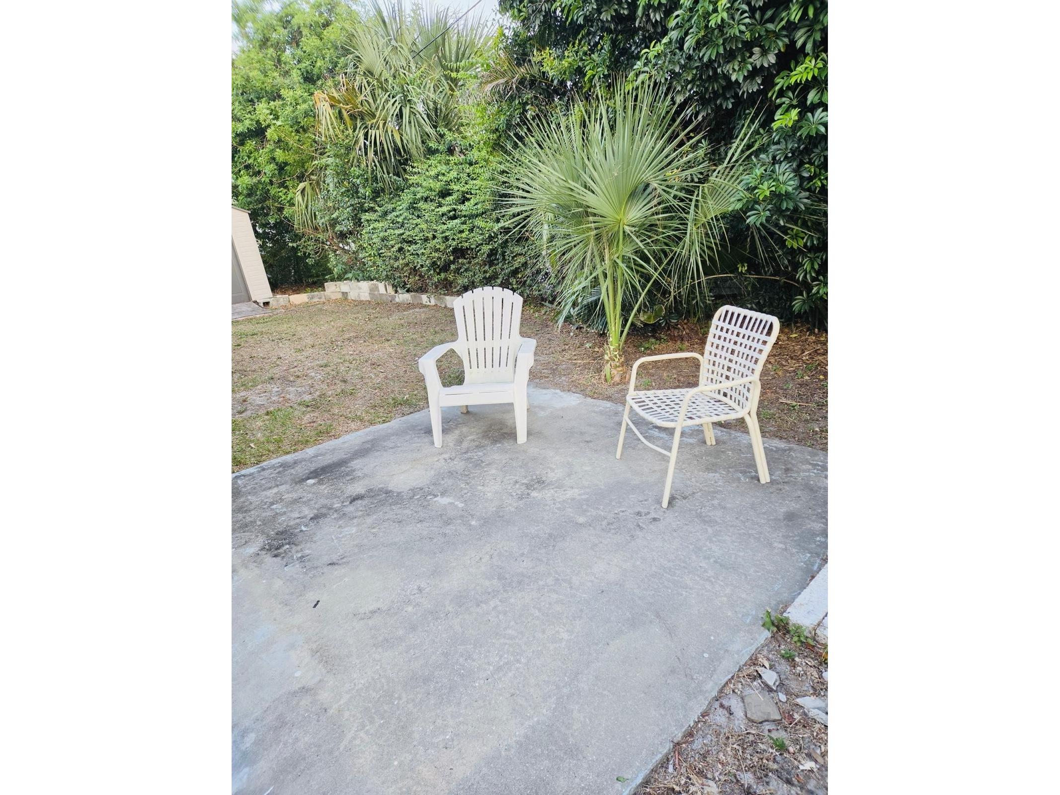 5344 Nancy Lane Holiday FL 34690 TB8501690 image22