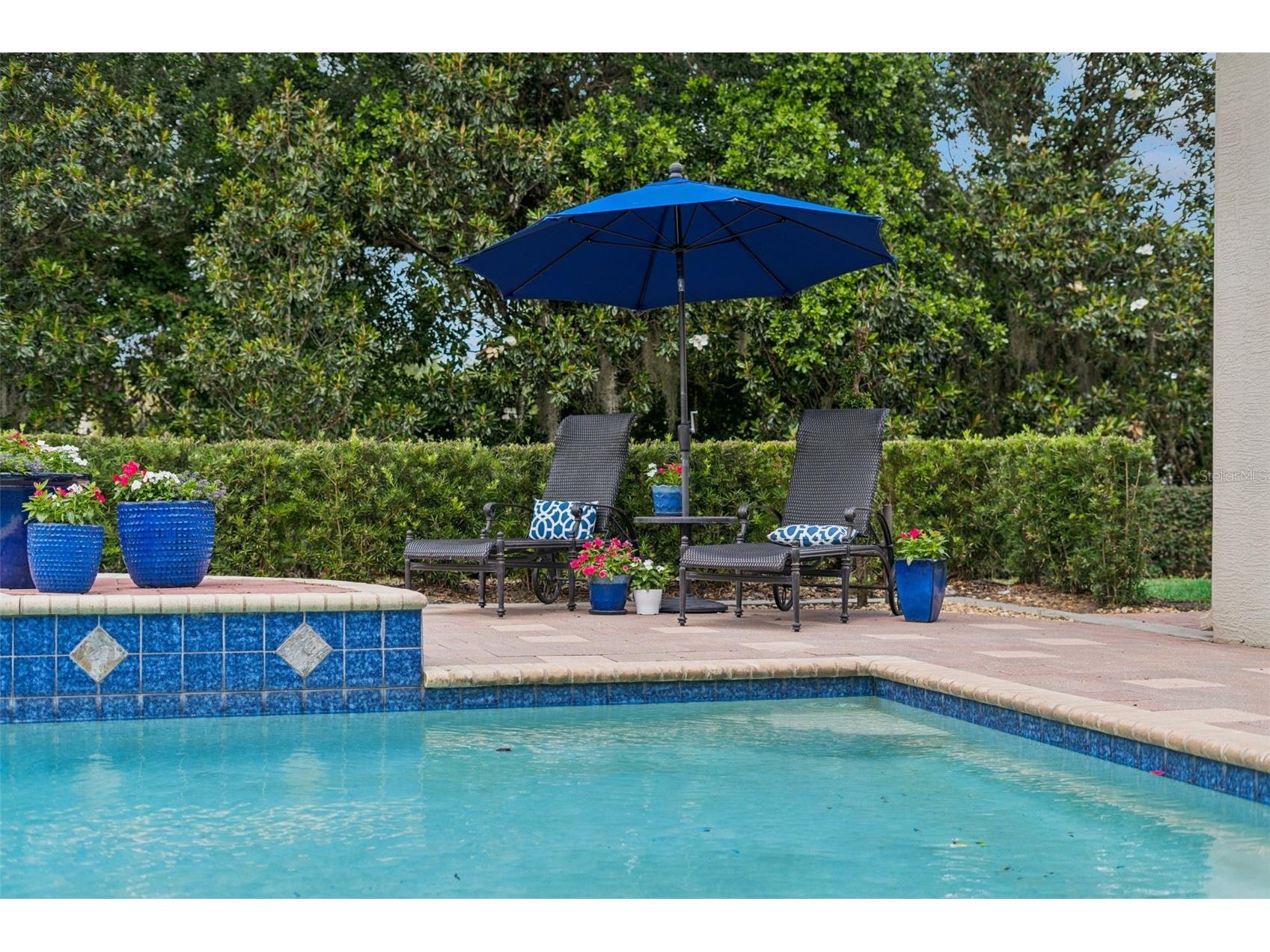 5344 Water Creek Drive Windermere FL 34786 - LAKE DAVIS O6408495 image19