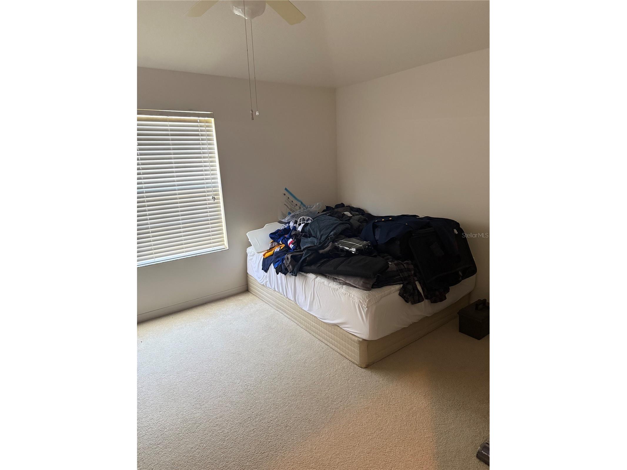 5345 60th Avenue N Saint Petersburg FL 33709 TB8492986 image14