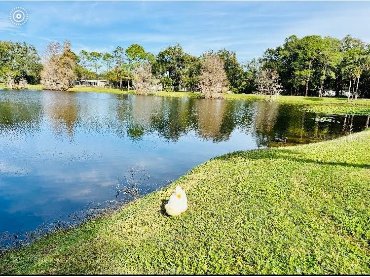 5345 Avon Court Orlando FL 32807 V4948341 image42