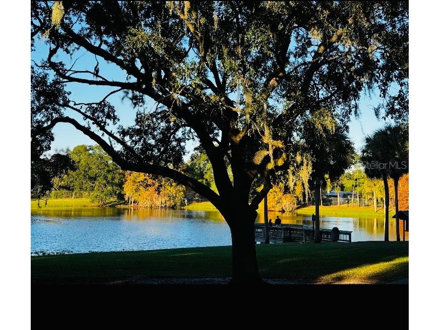 5345 Avon Court Orlando FL 32807 V4948341 image43