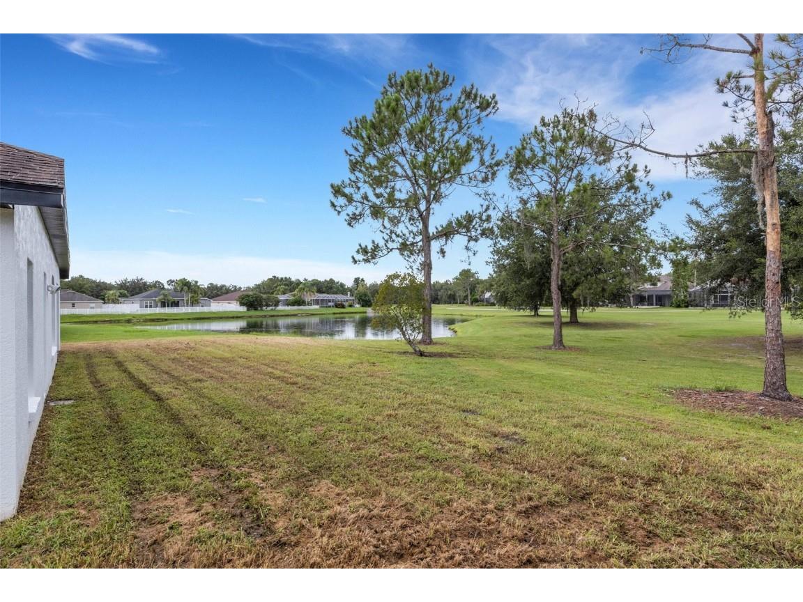 5345 Bold Venture Place Wesley Chapel FL 33544 TB8407276 image5