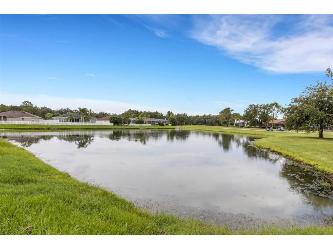 5345 Bold Venture Place Wesley Chapel FL 33544 TB8407276 image6